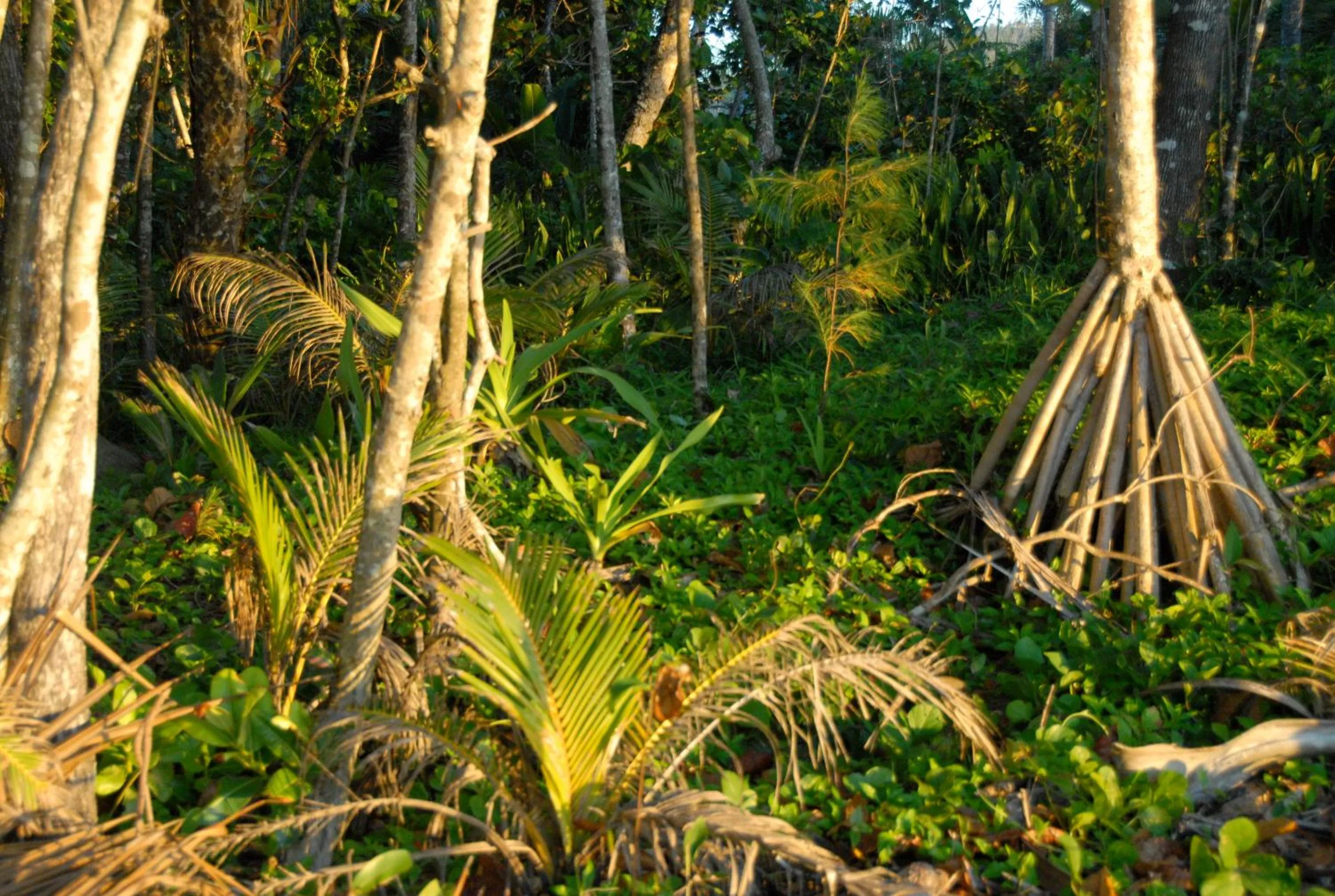 Garden in Sejala Beach Huts