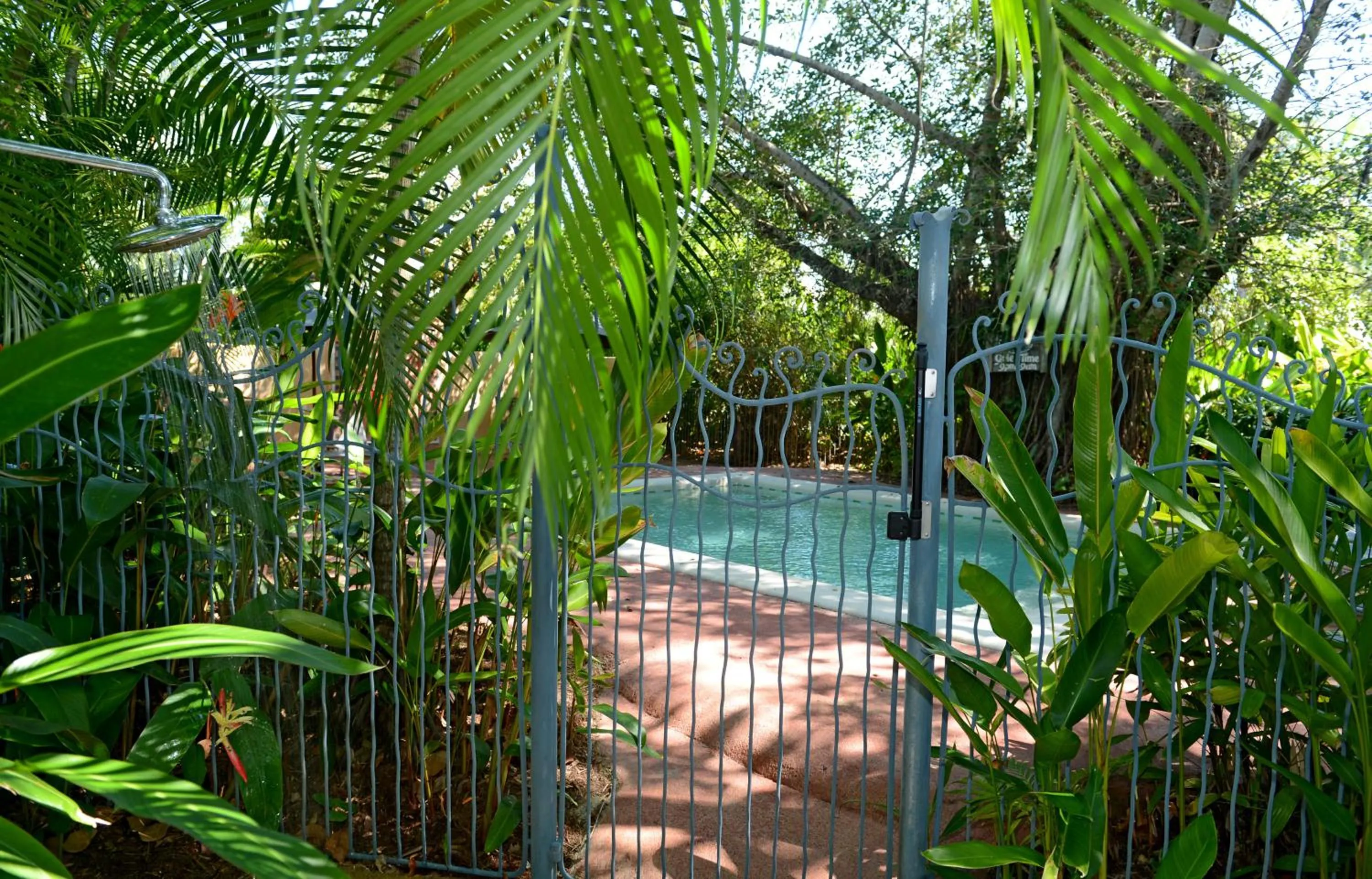 Swimming pool in Sejala Beach Huts