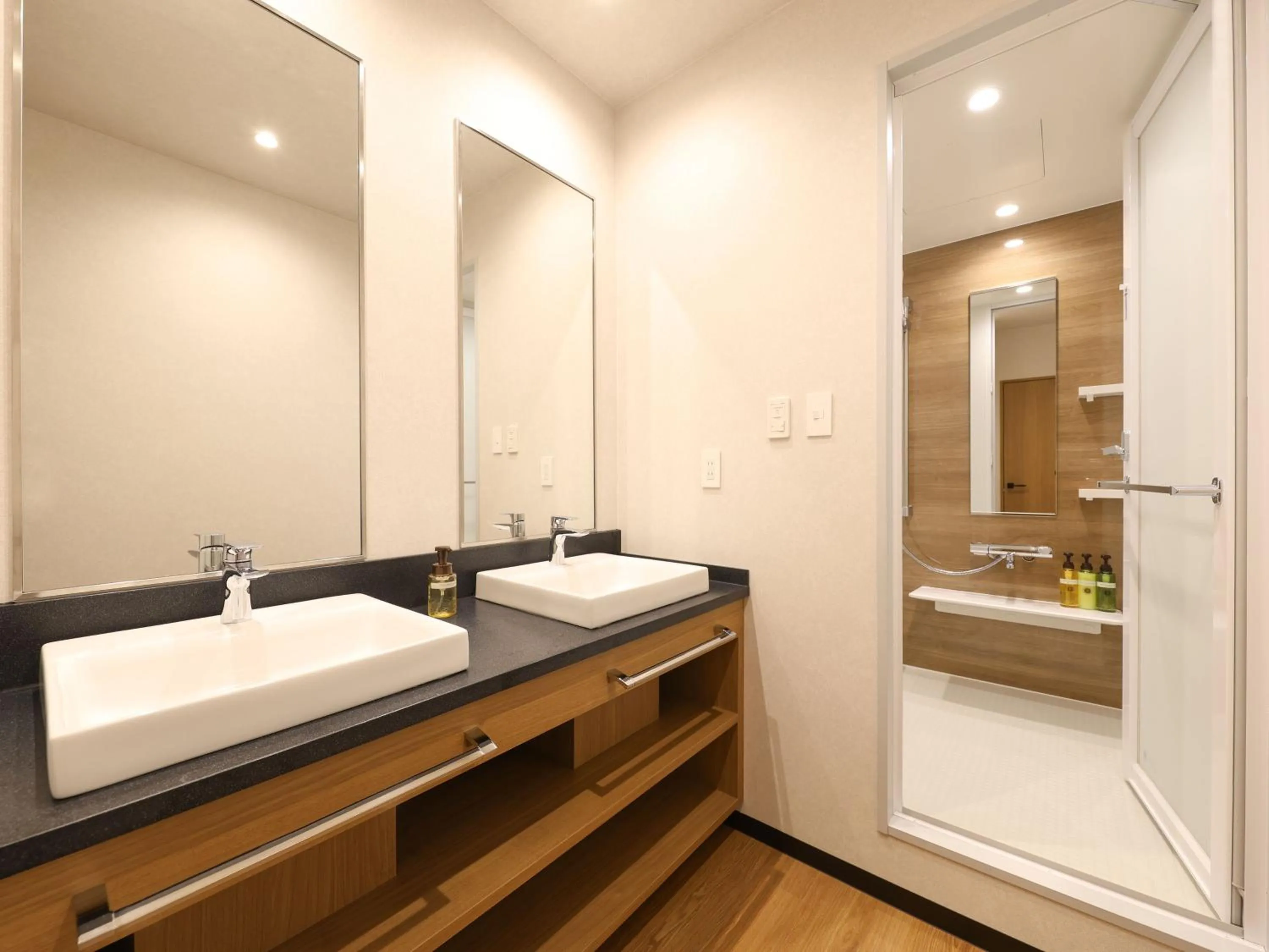 Bathroom in HOTEL MYSTAYS Kumamoto Riverside