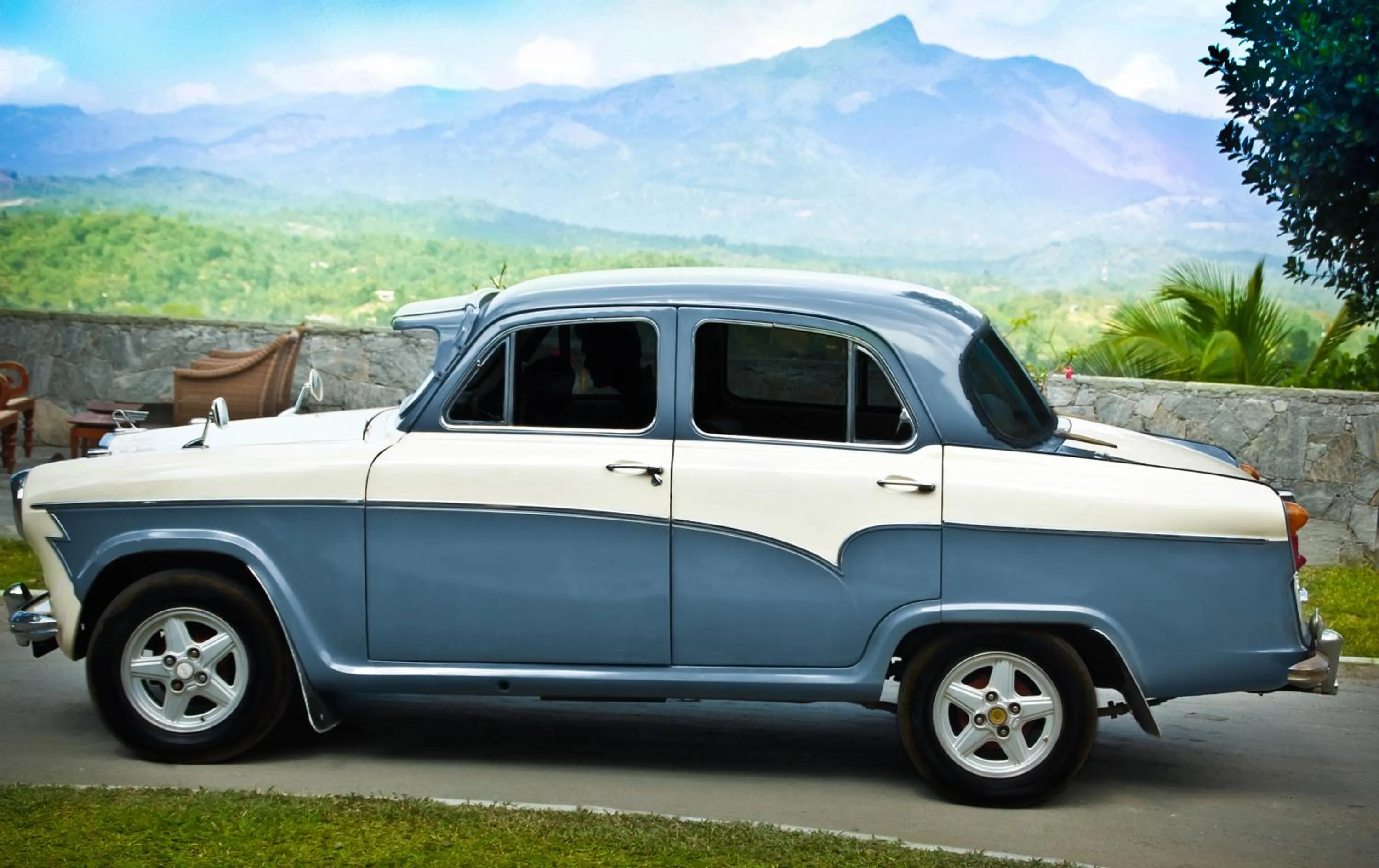 Day in The Elephant Stables