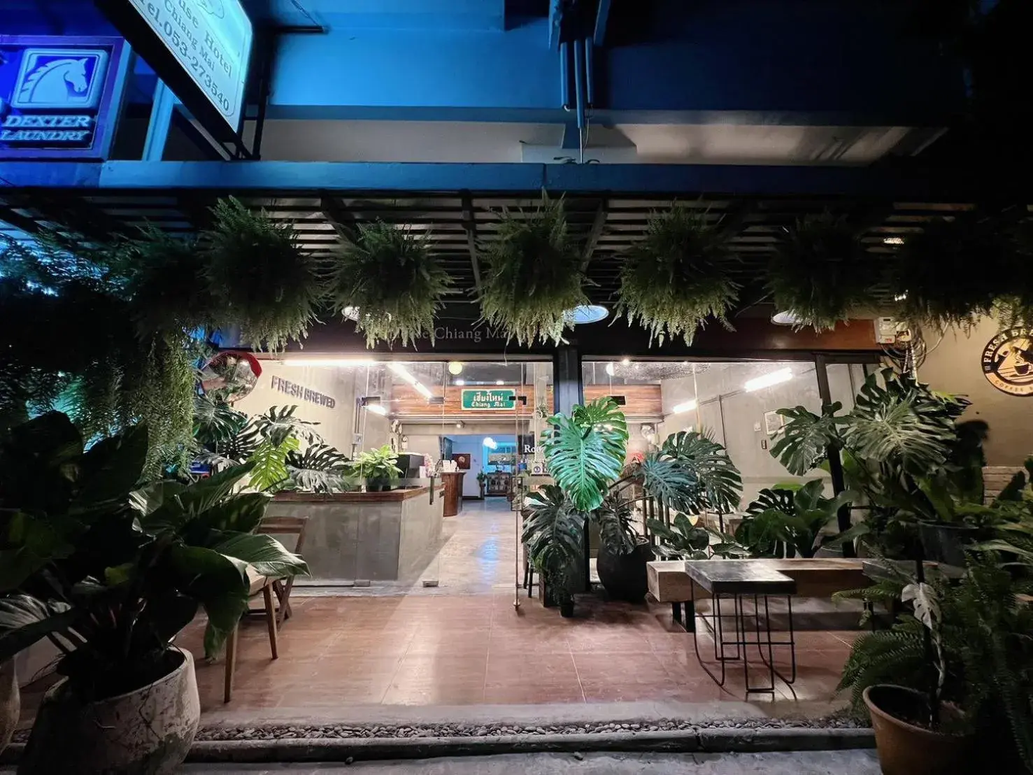 Property building in B House Chiang Mai Thailand Property building in B House Chiang Mai Thailand