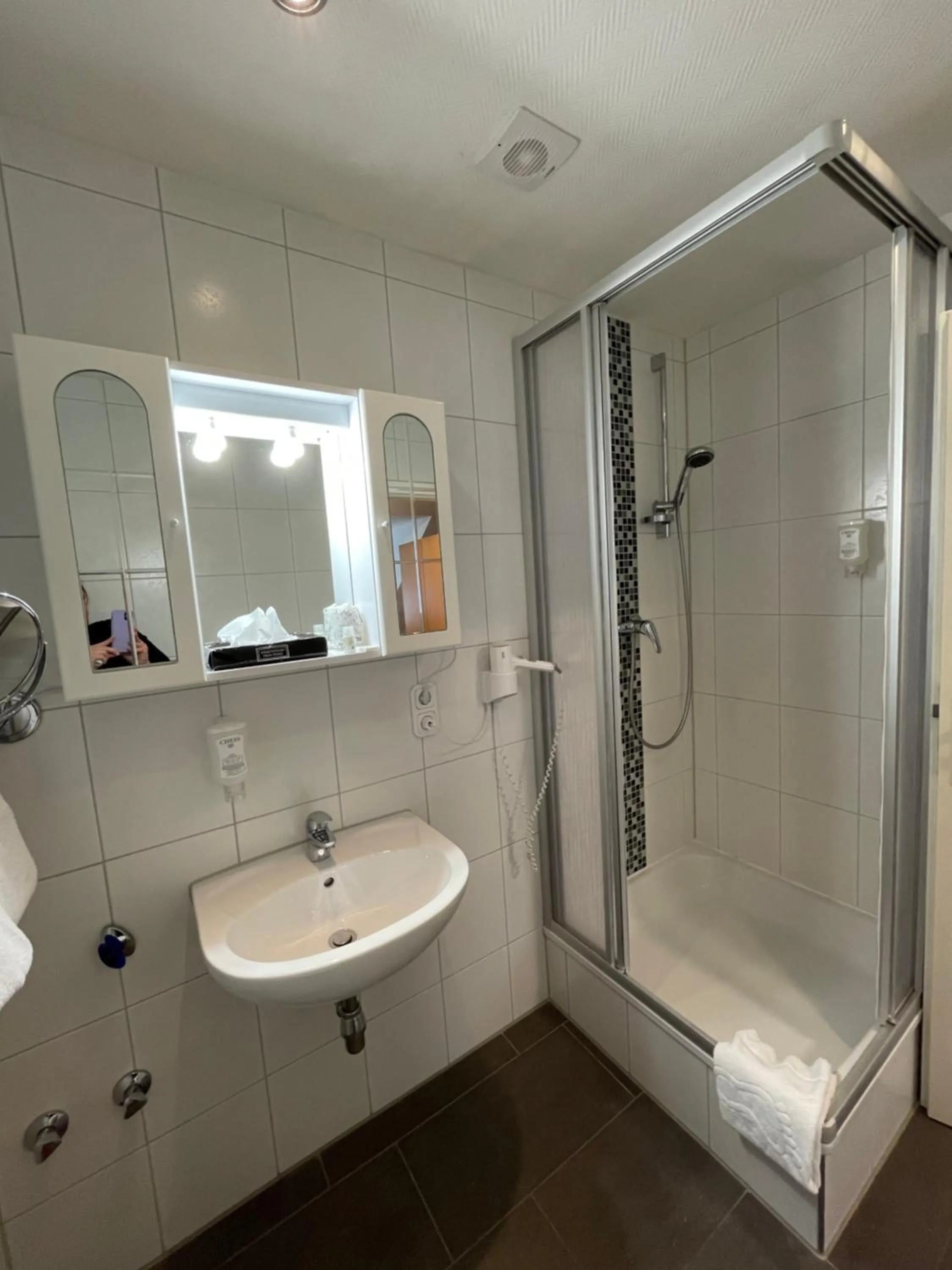 Bathroom in Hotel Alt Montjoie