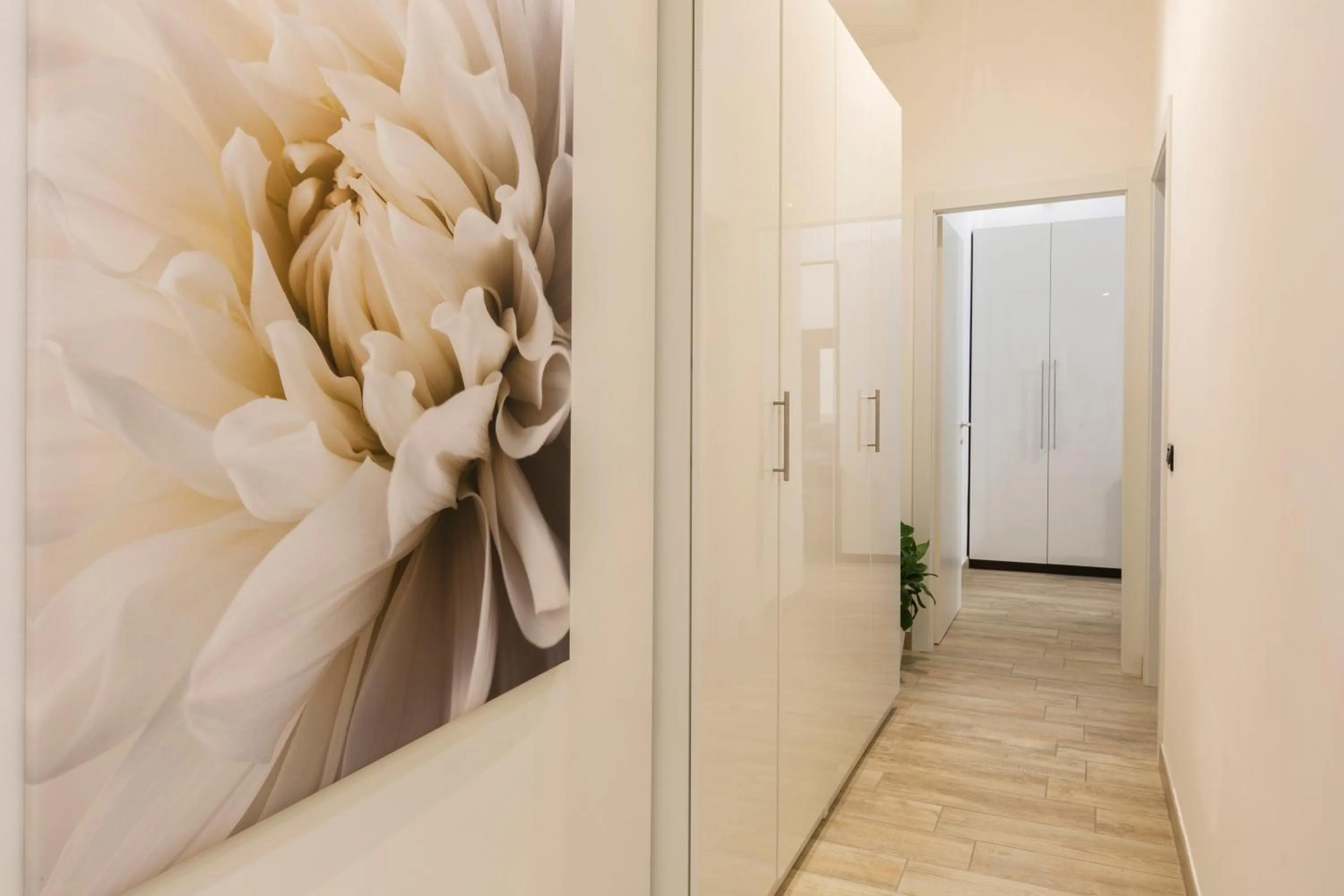 Yellow Line Apartment