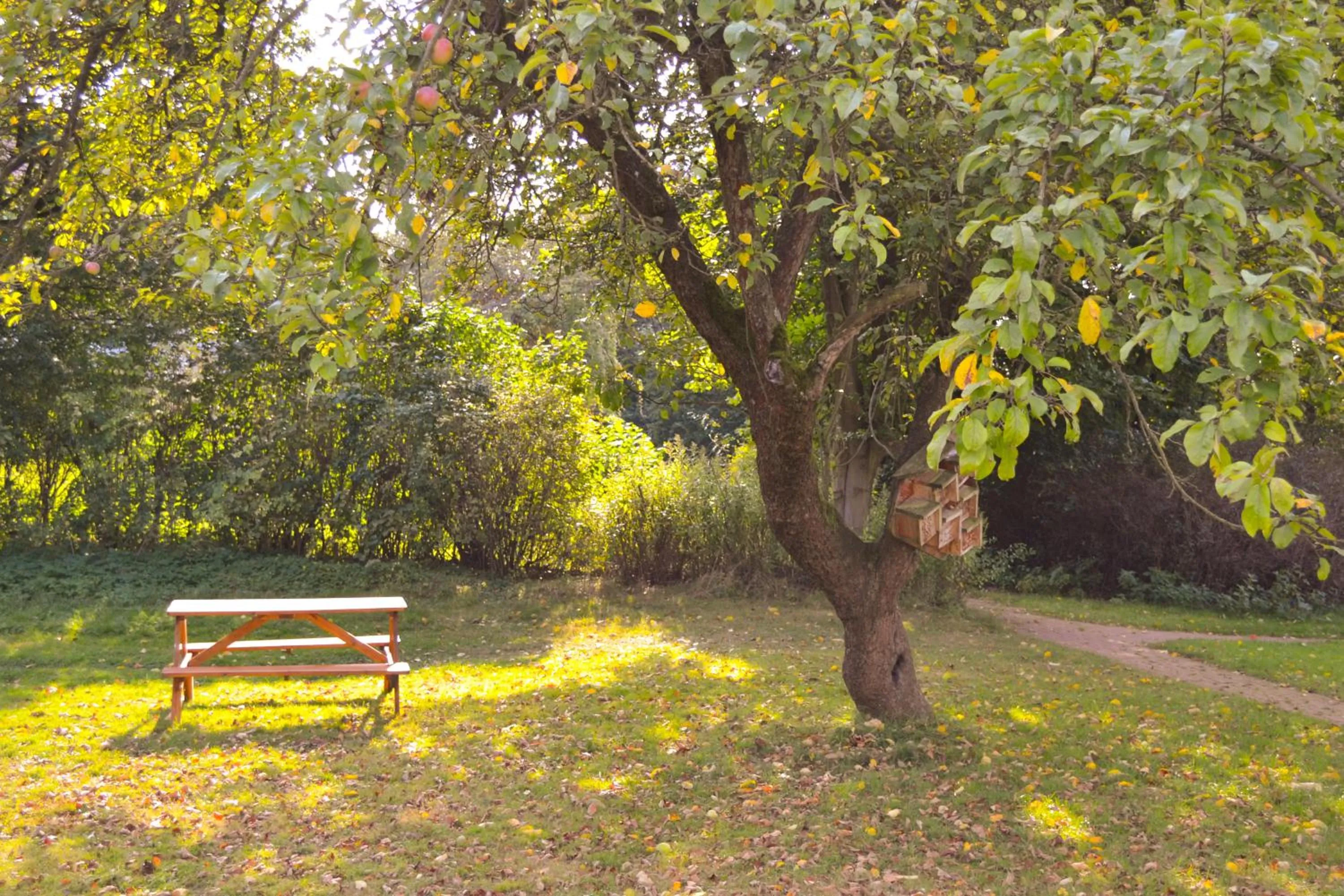 Off site in Denkhaus Loccum