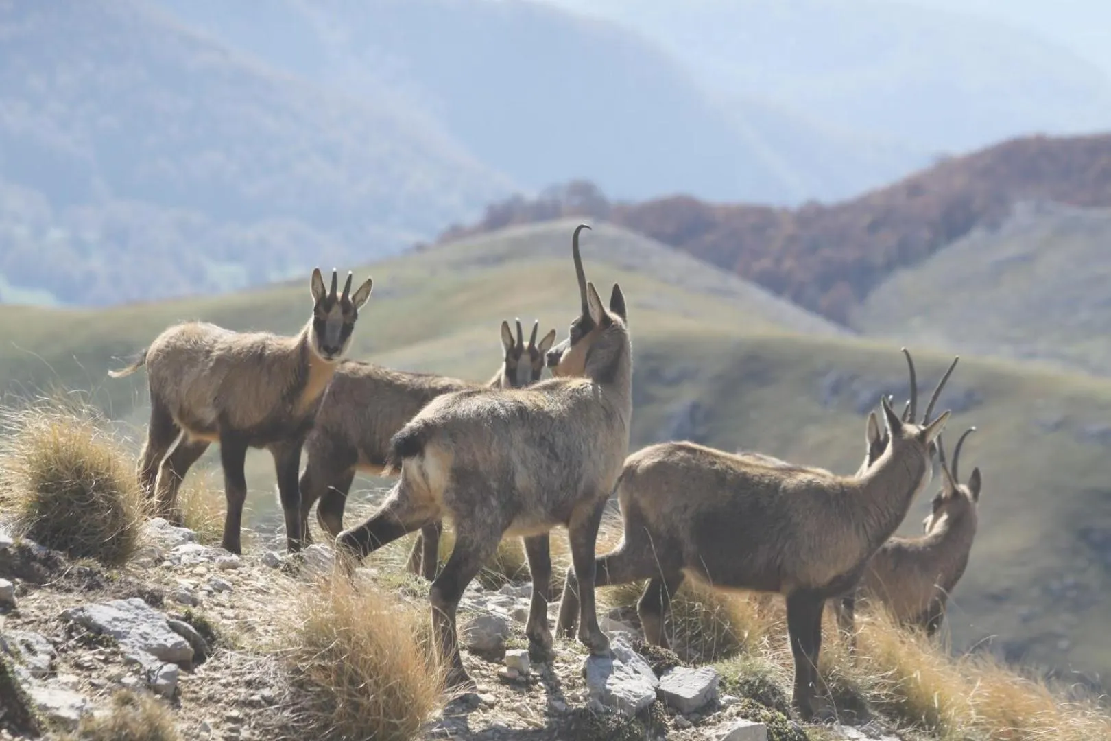 B&B La casa dei nonni