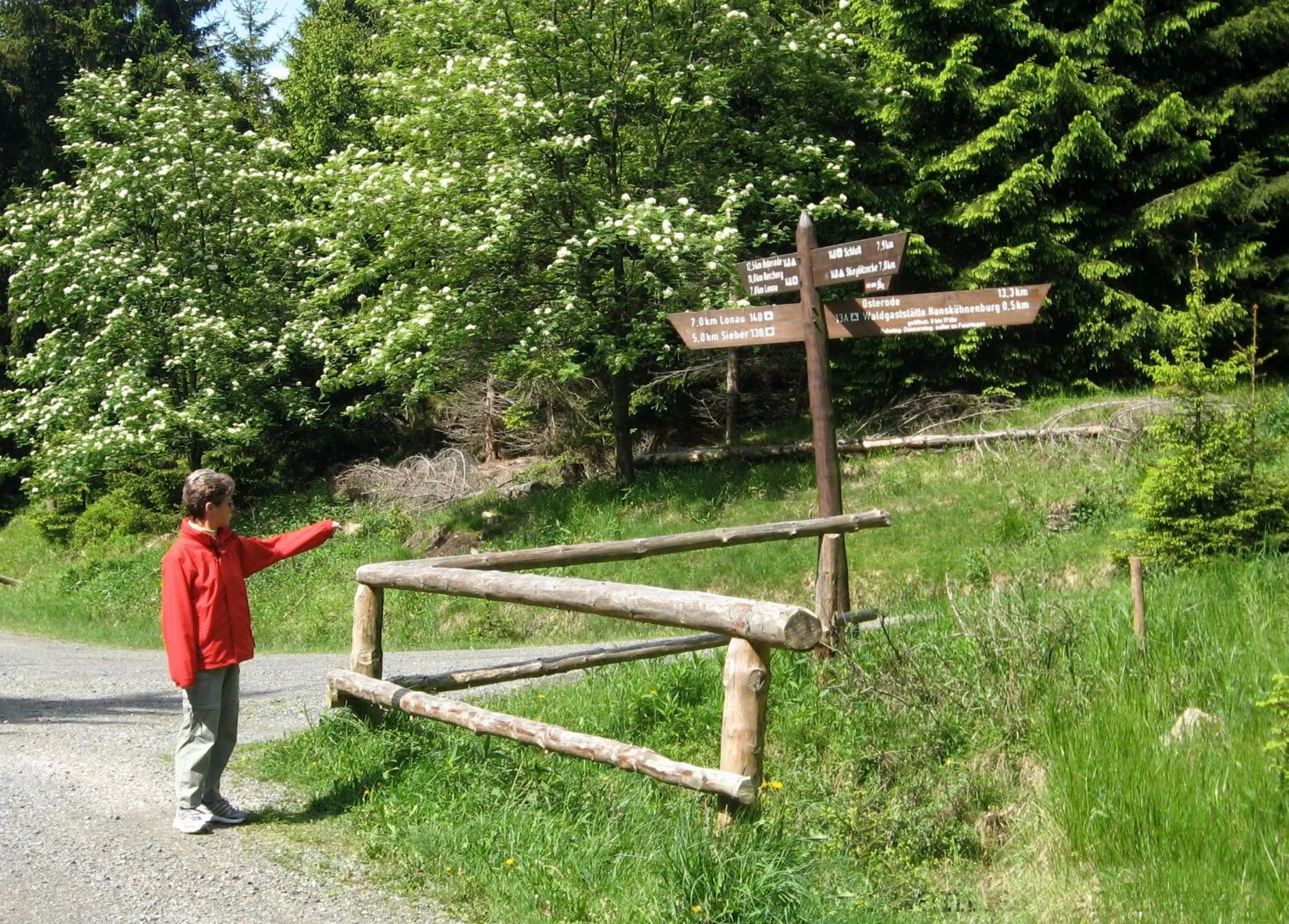 young children in Hotel Englischer Hof