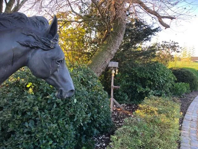 View (from property/room) in B&B 't Motjeshof