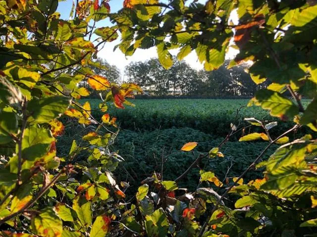 View (from property/room) in B&B 't Motjeshof