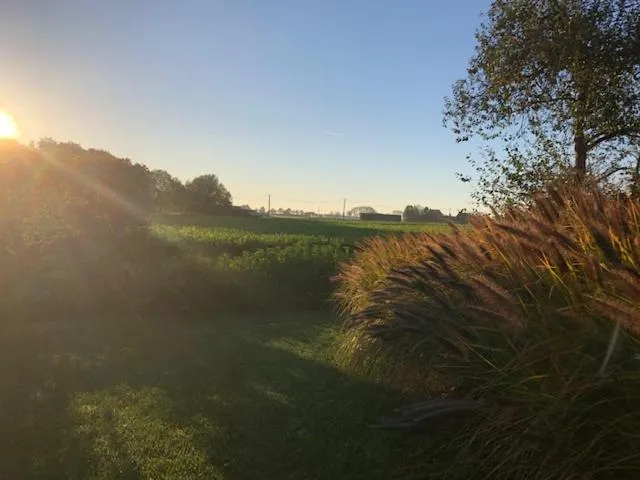 View (from property/room) in B&B 't Motjeshof