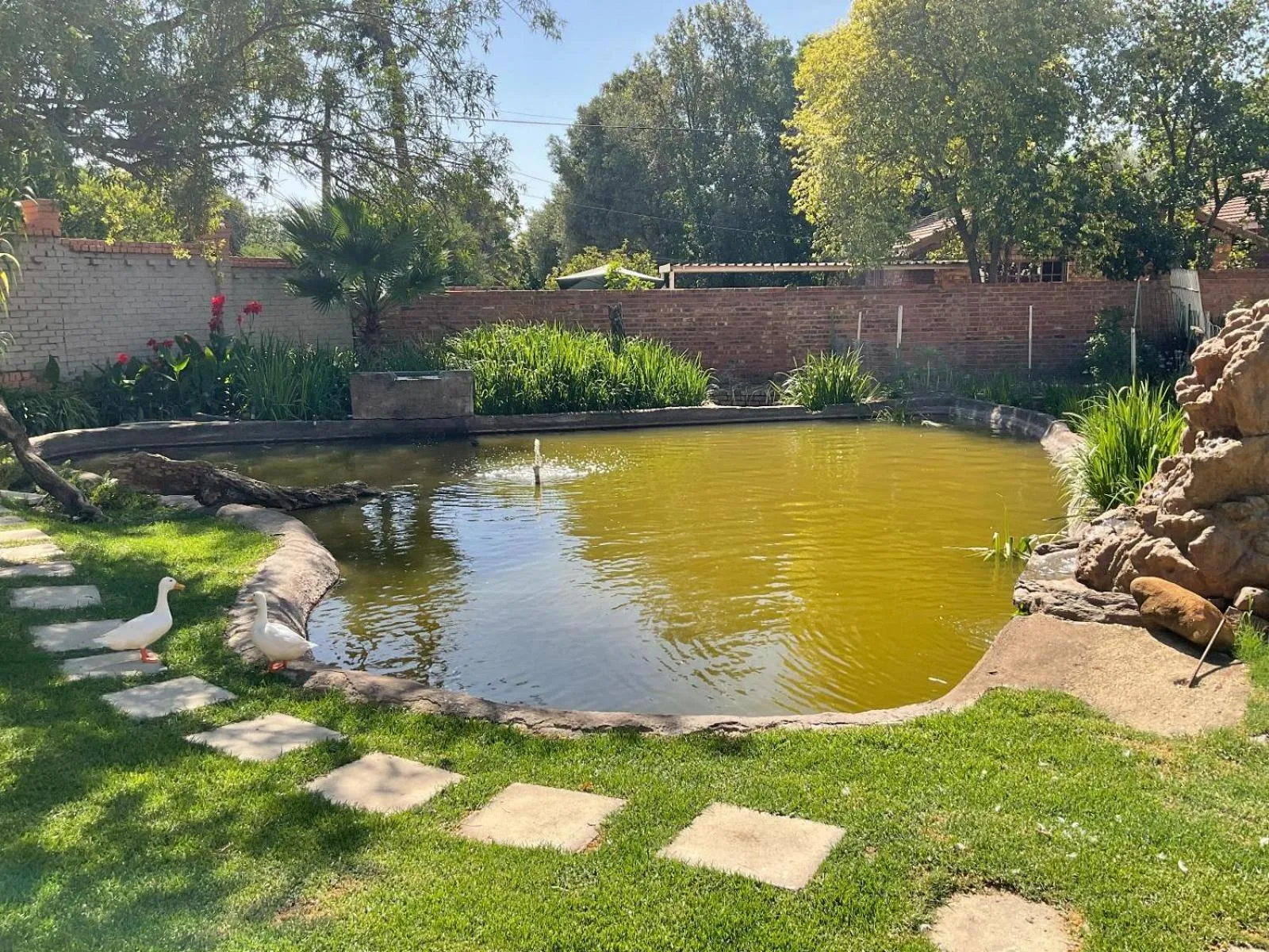 Garden in Royal Olympia Lodges & Safaris RSA