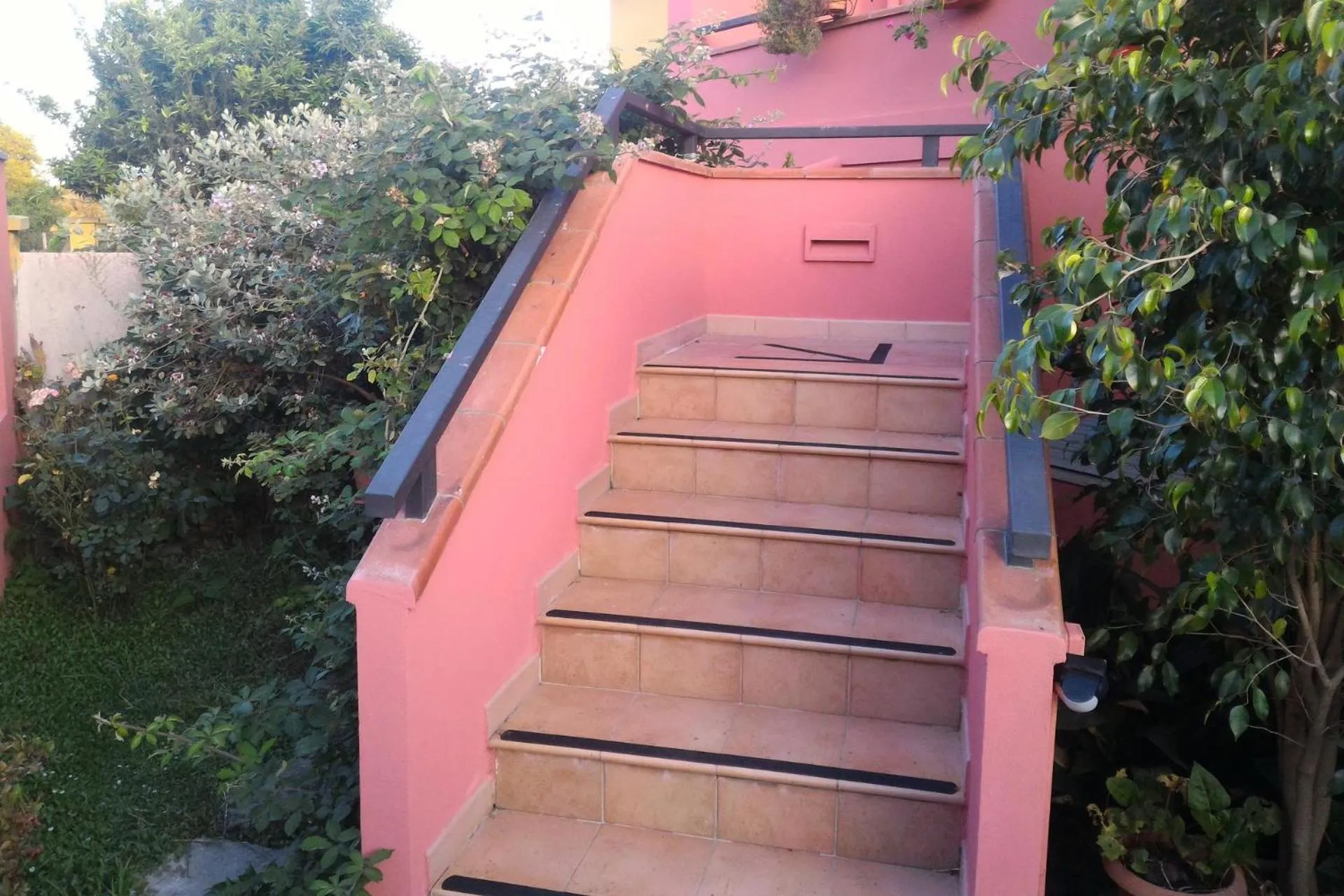 Corona Bed & Breakfast