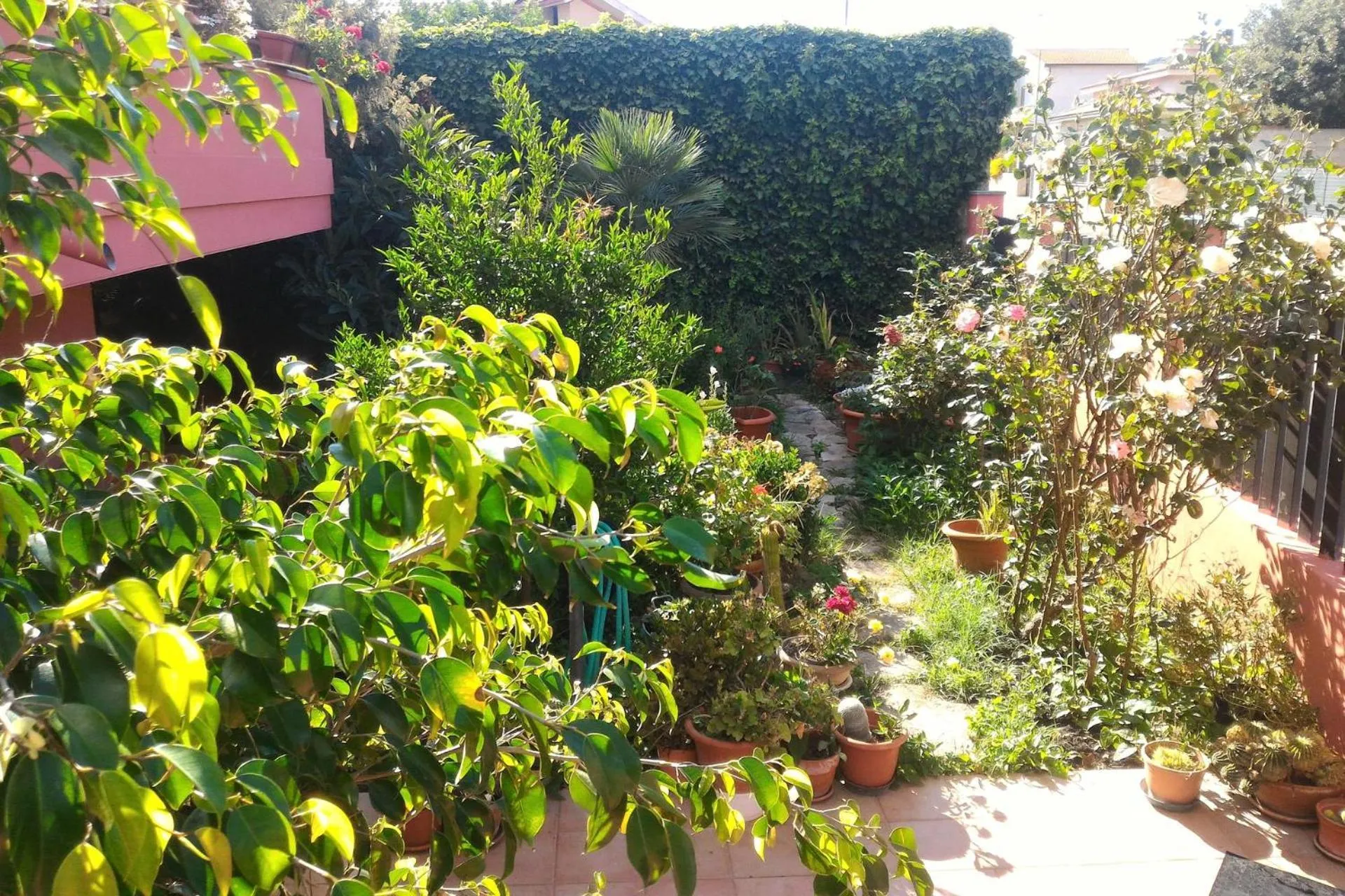 Corona Bed & Breakfast