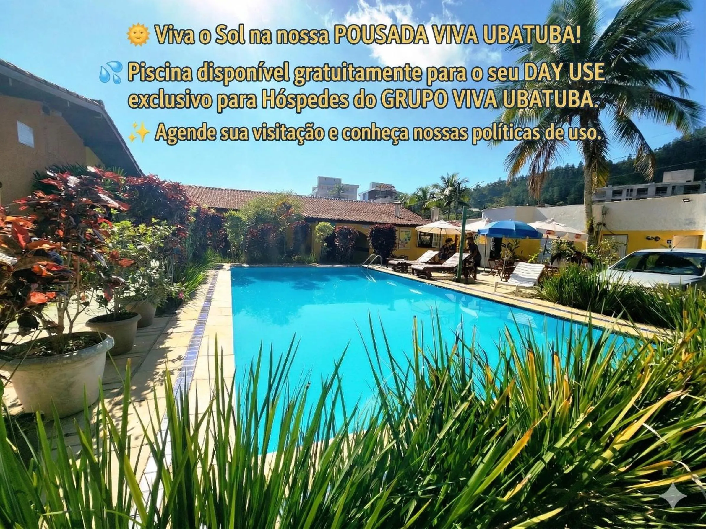 Off site in Casa Amarela Estufa 2 Ubatuba SP - GRUPO VIVA UBATUBA