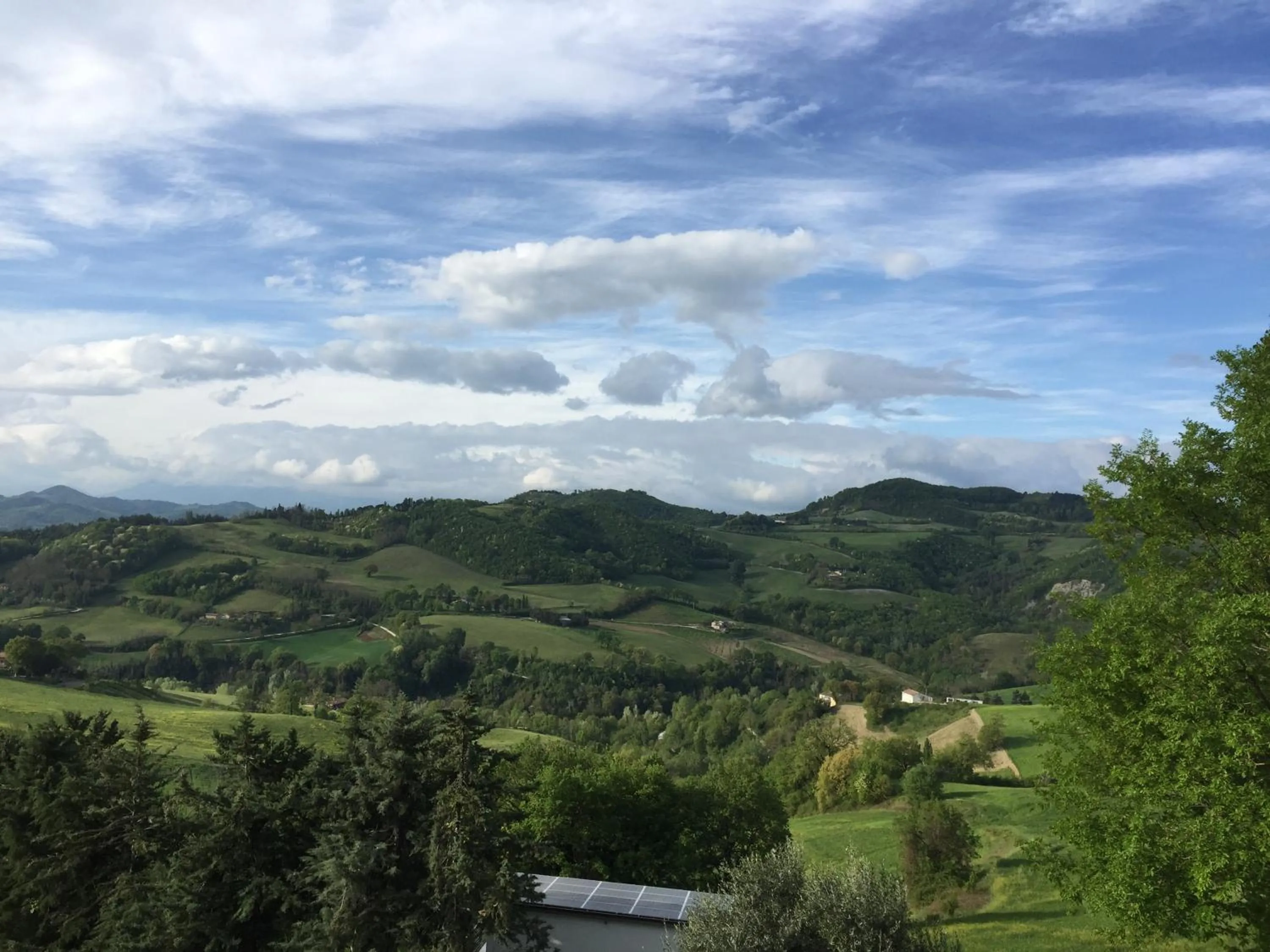 View (from property/room) in Green B&B Urbino Cá del vento