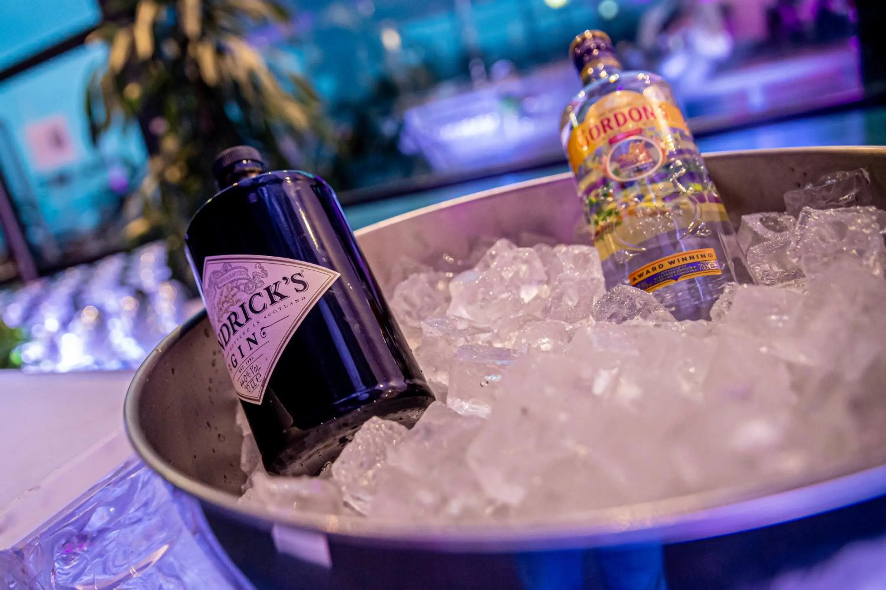 Activities in Hotel Motorsport Arena