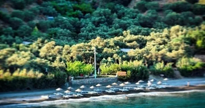 Property building in Datca Masal Gibi
