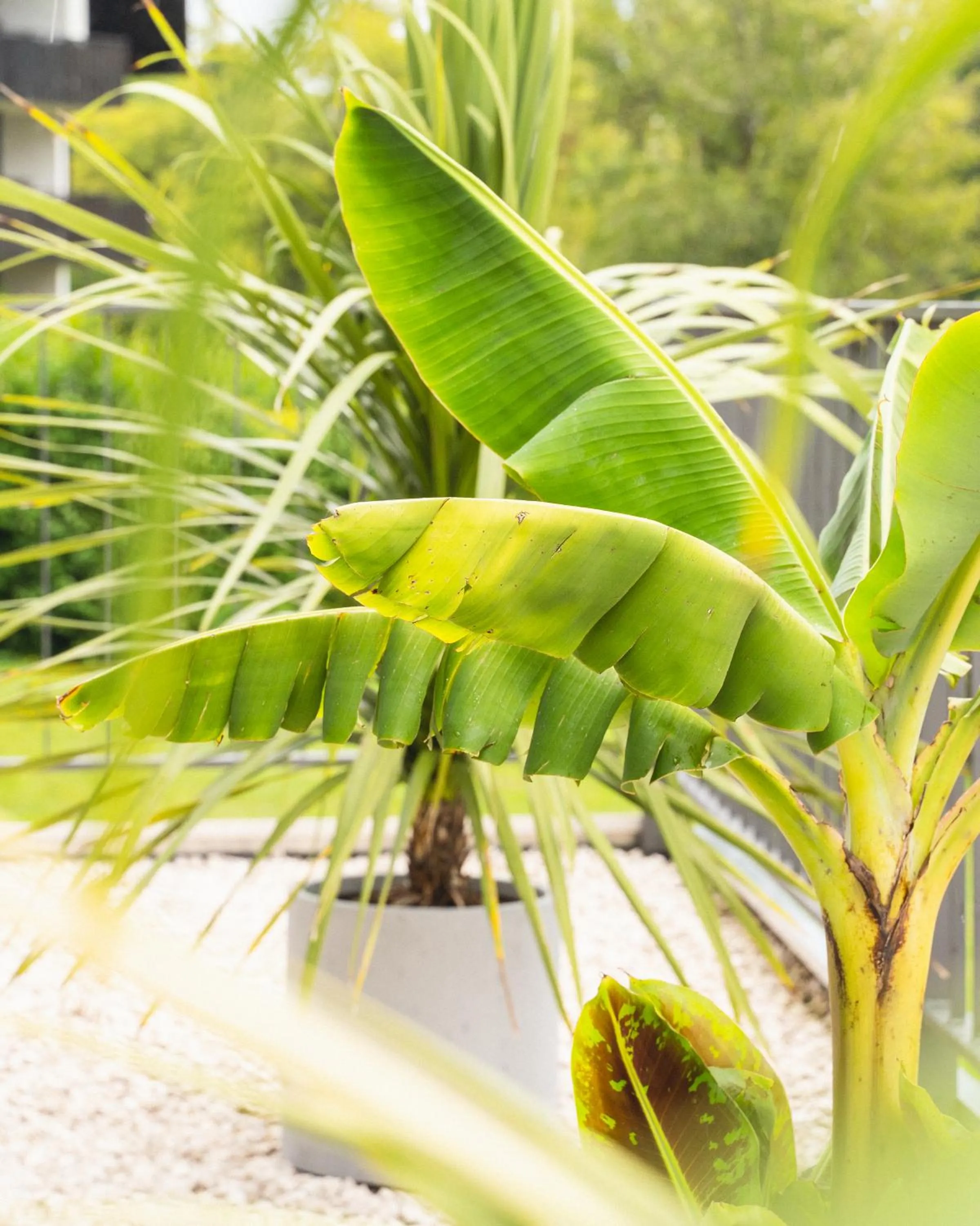 Property building in QC Hotel Quartier Chiemsee