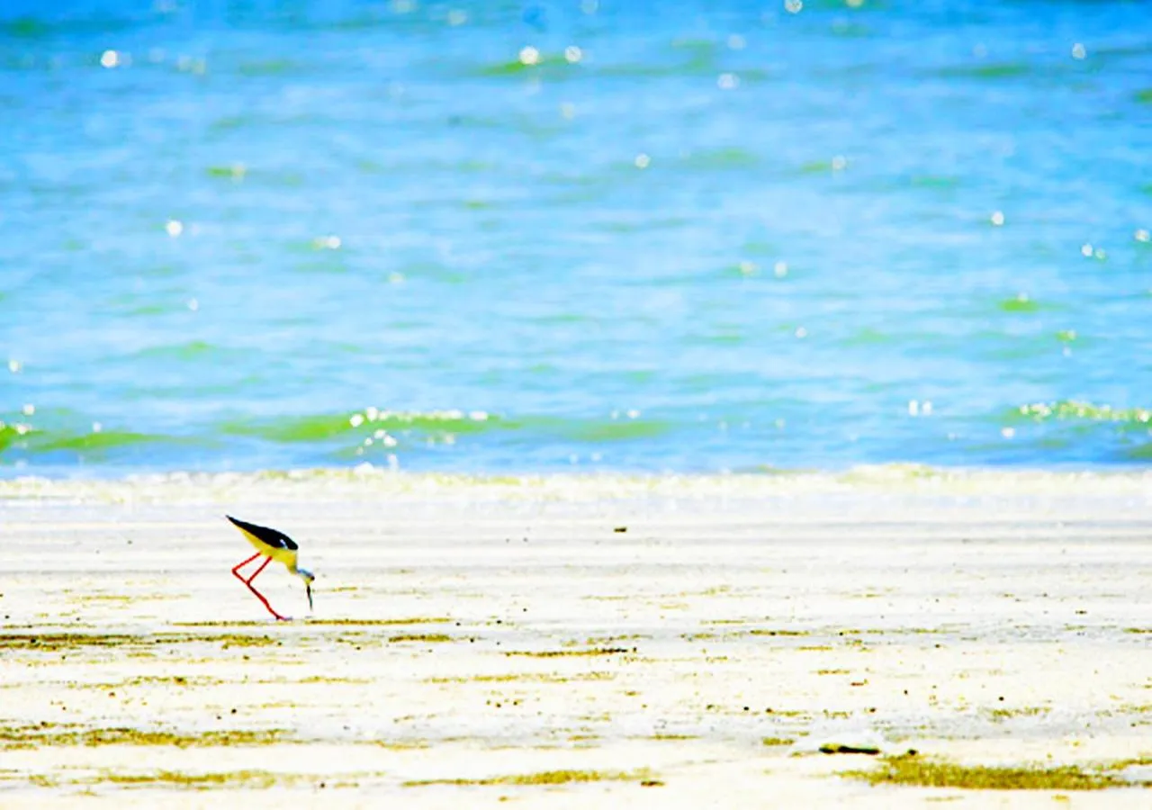 Baan Golden Resort & Residences