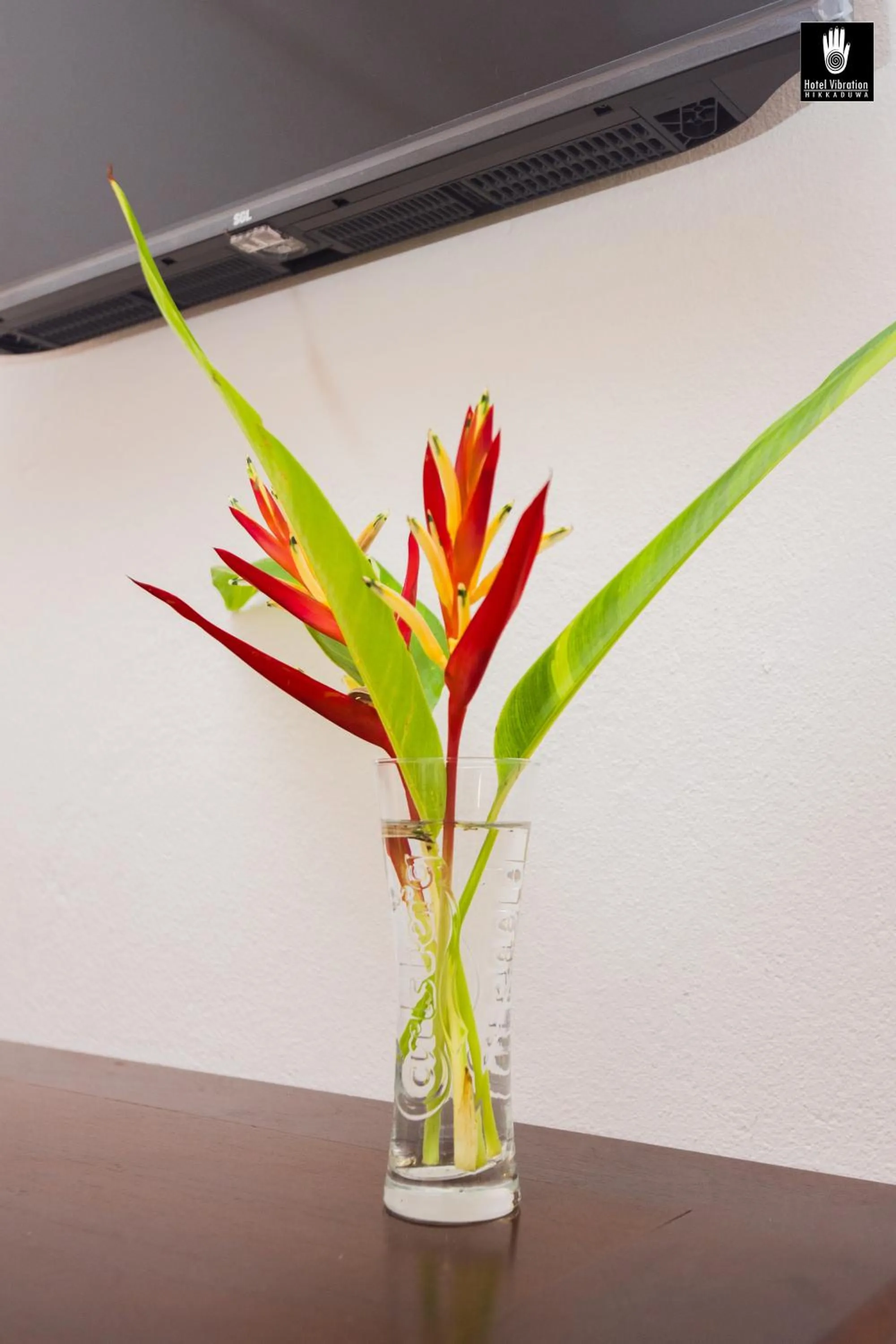 Standard Double Room with Garden View in Hotel Vibration