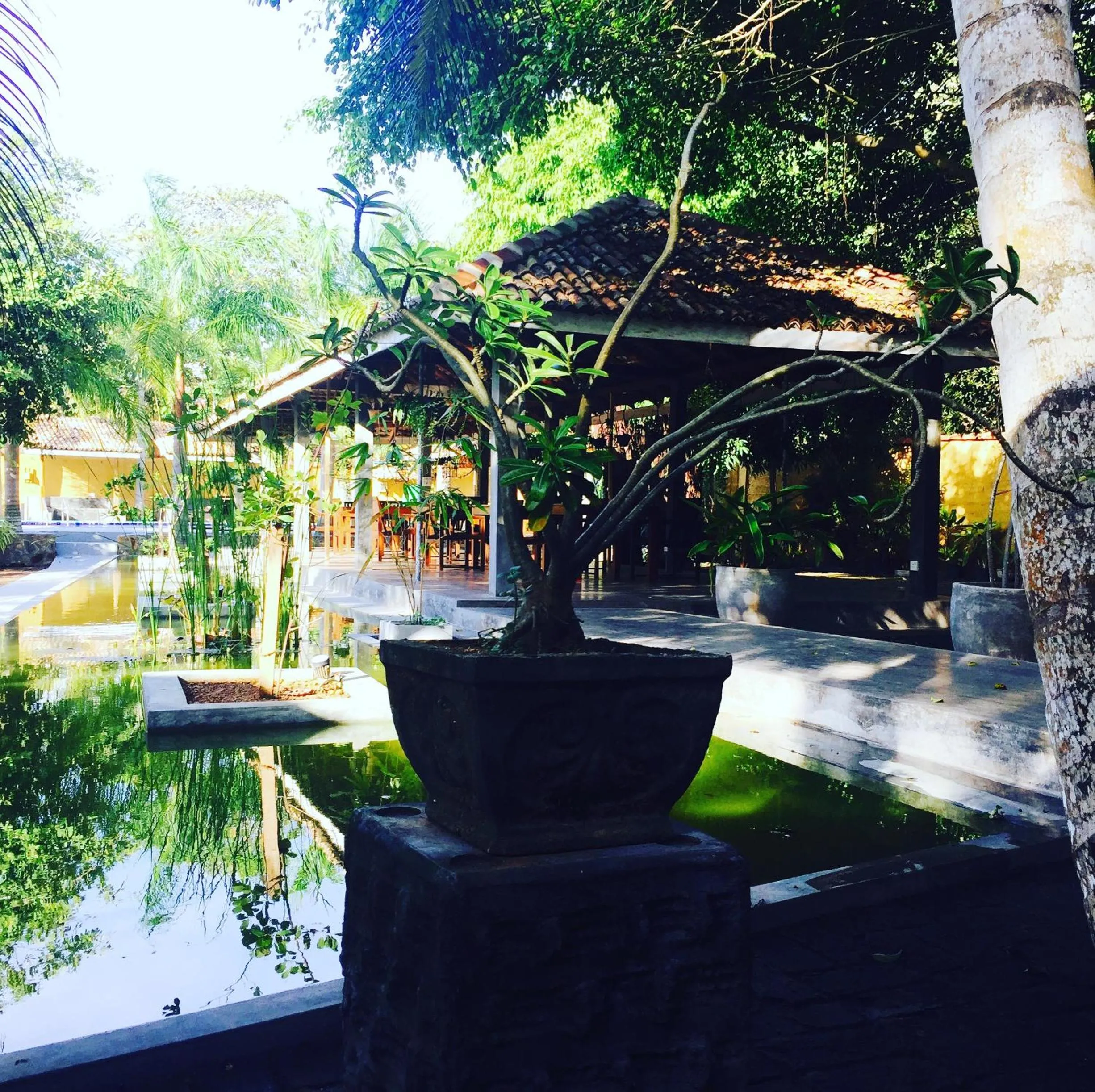 Garden in Hotel Vibration