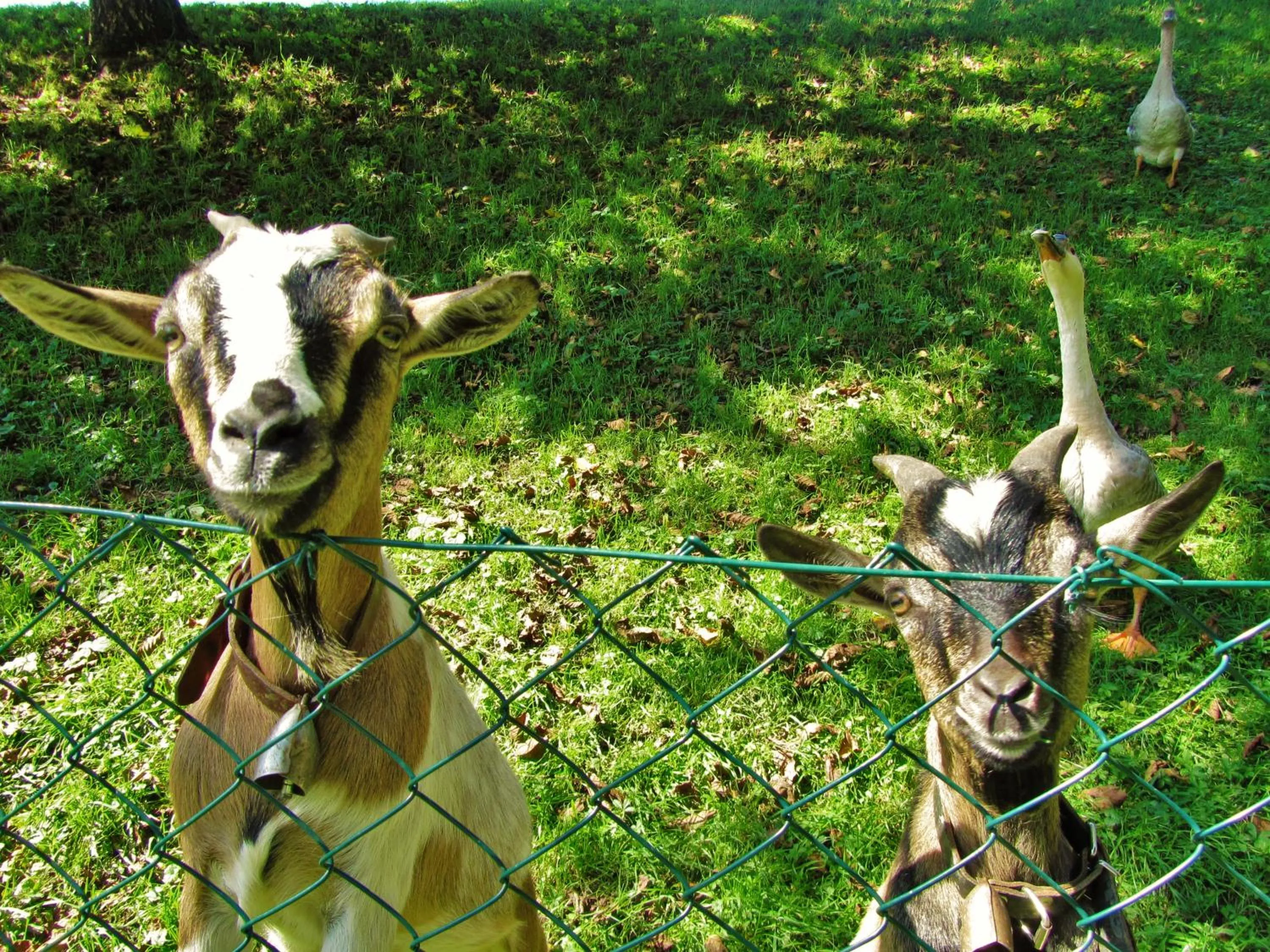 B&B Sopra il Portico