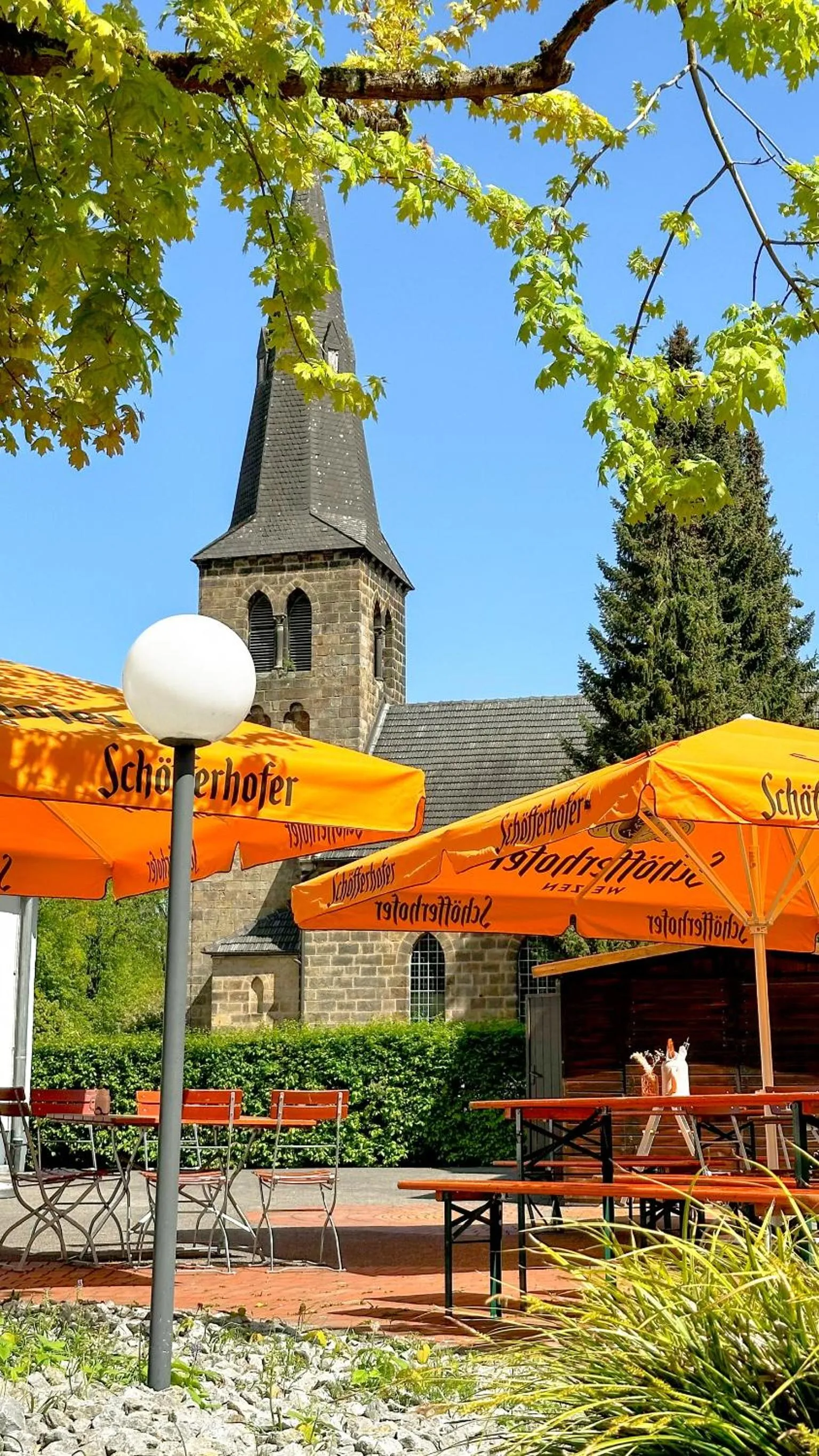 Restaurant/places to eat in Hotel am Park Bad Driburg