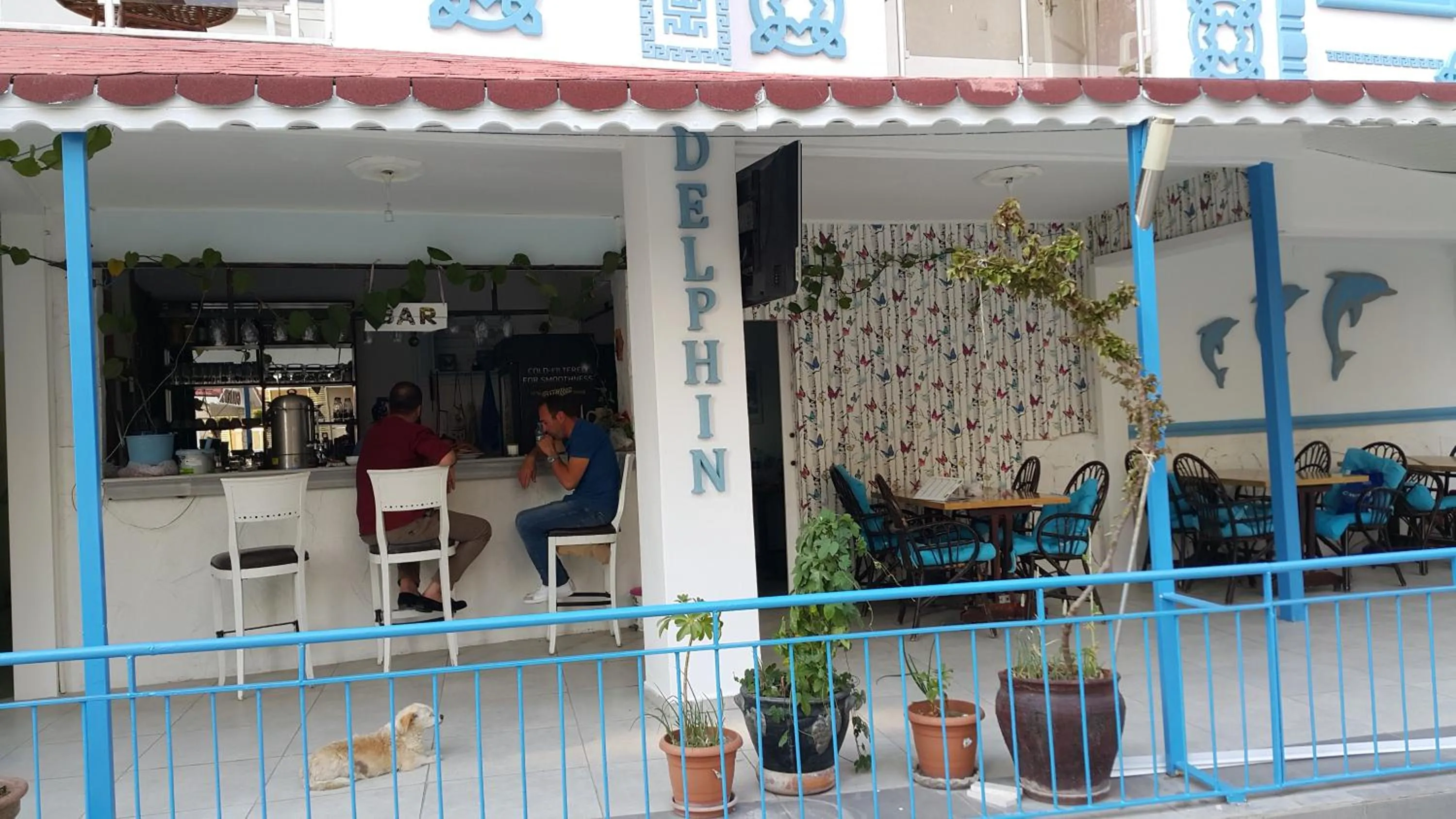 Meals in Delphin Hotel Side