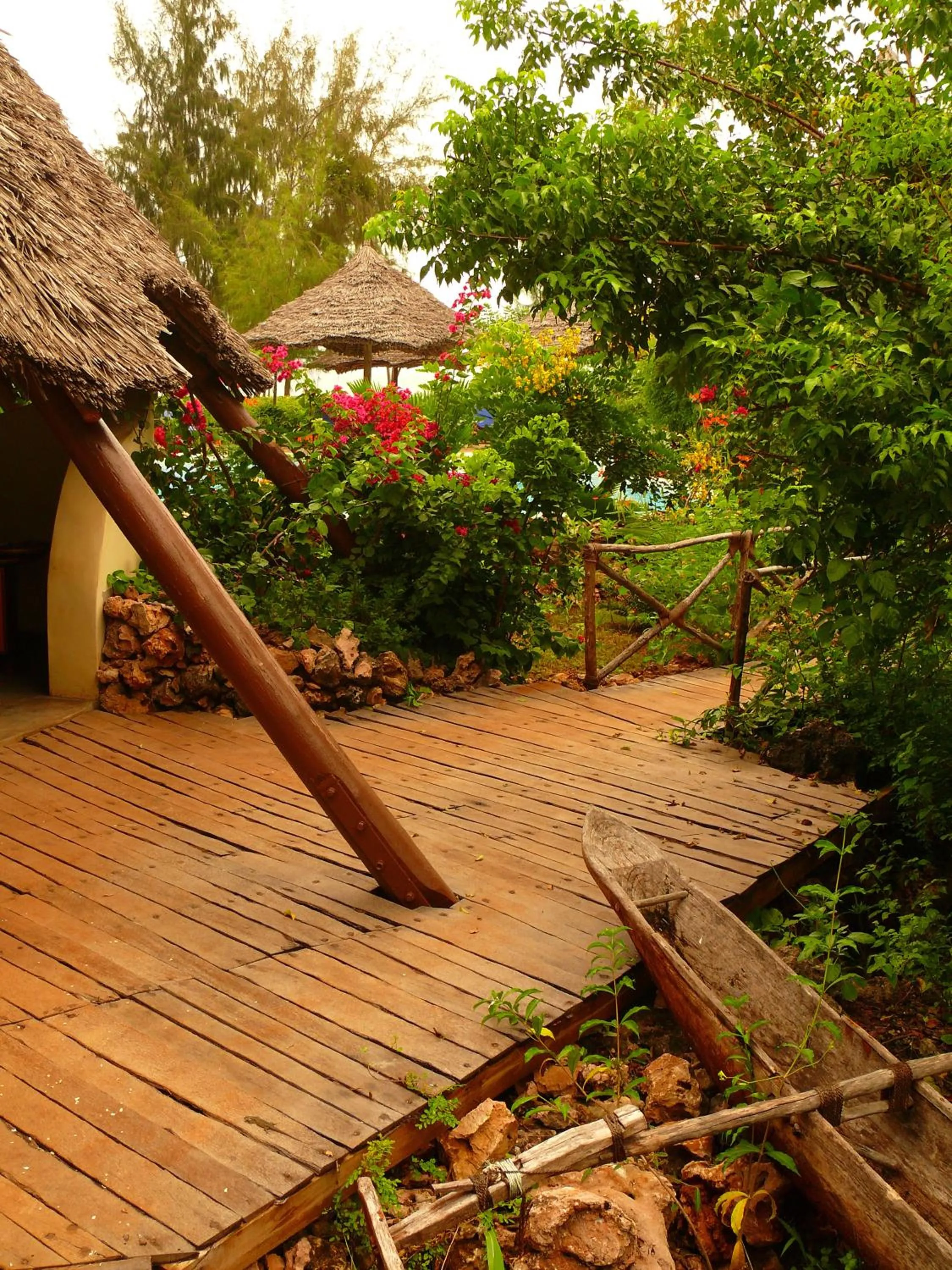 Natural landscape in Unguja Lodge