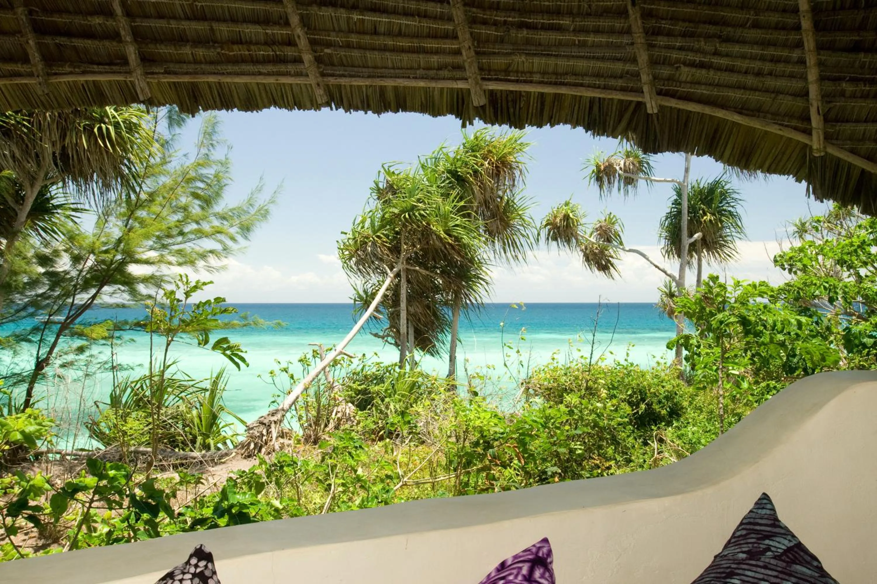 View (from property/room) in Unguja Lodge