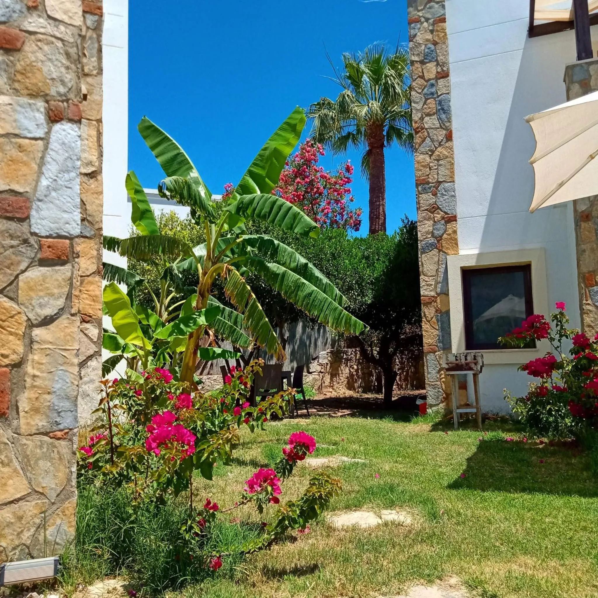 Garden in The Mara Suite