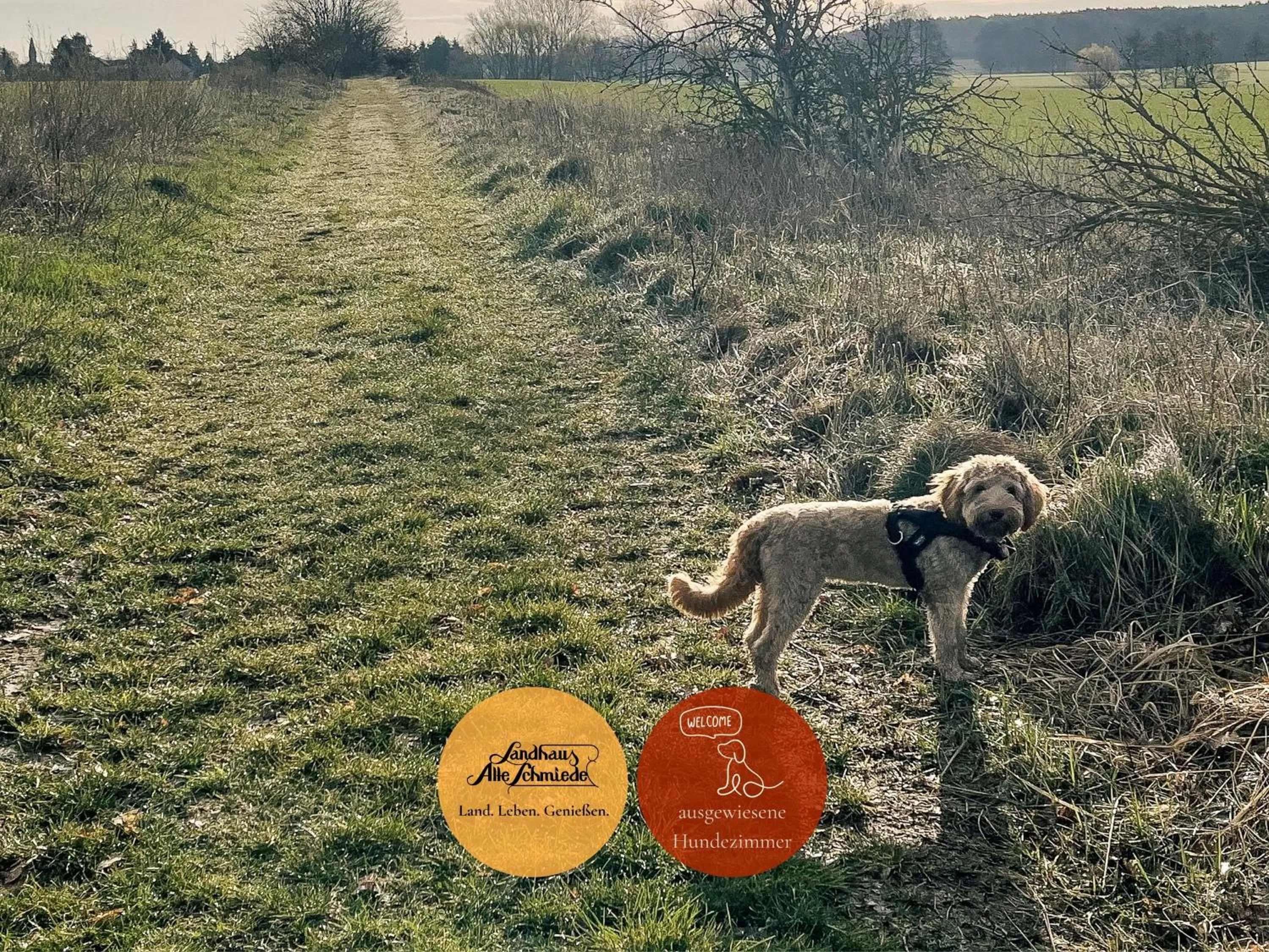 Natural landscape in Landhaus Alte Schmiede