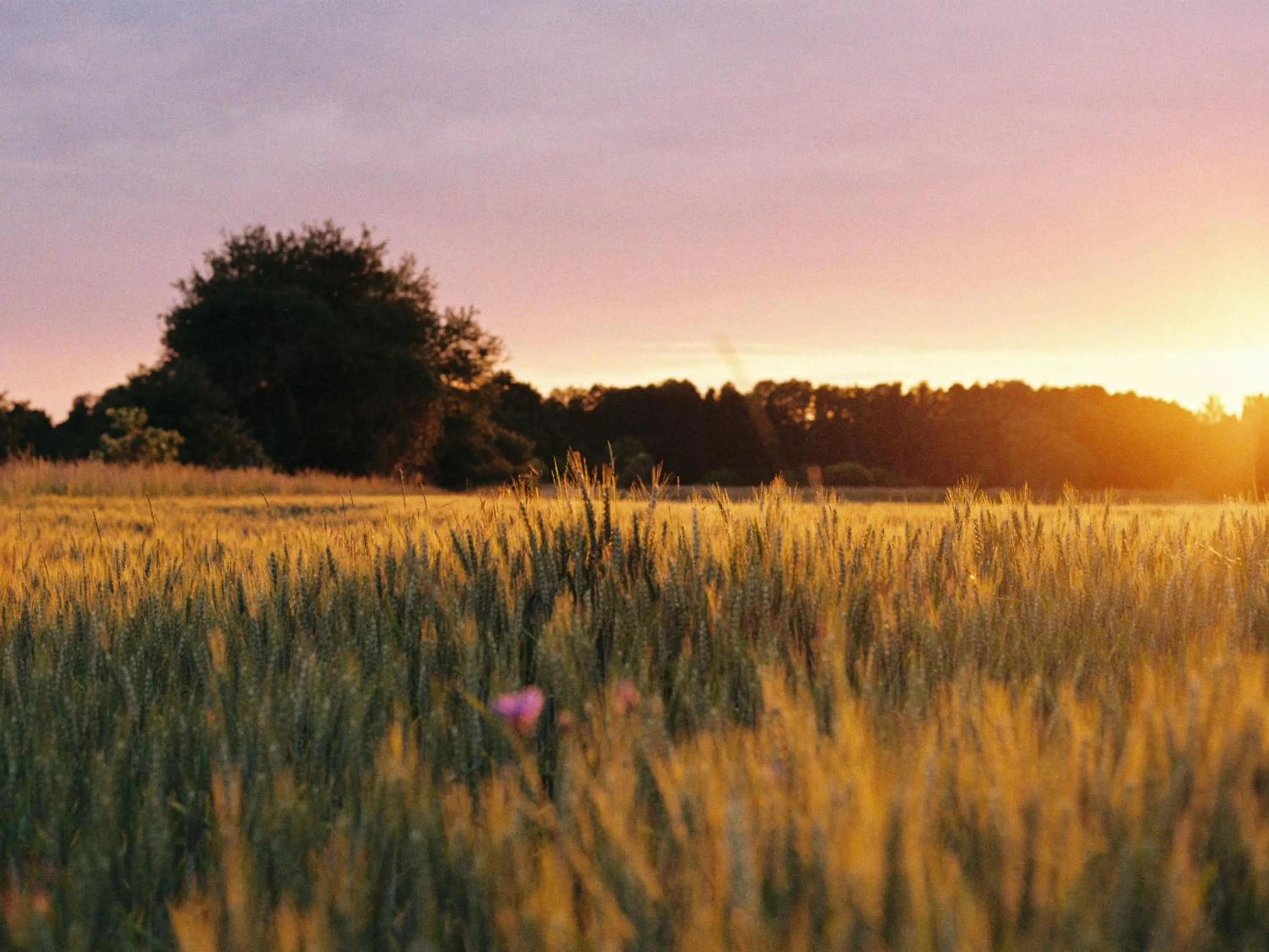 Day in Landhaus Alte Schmiede
