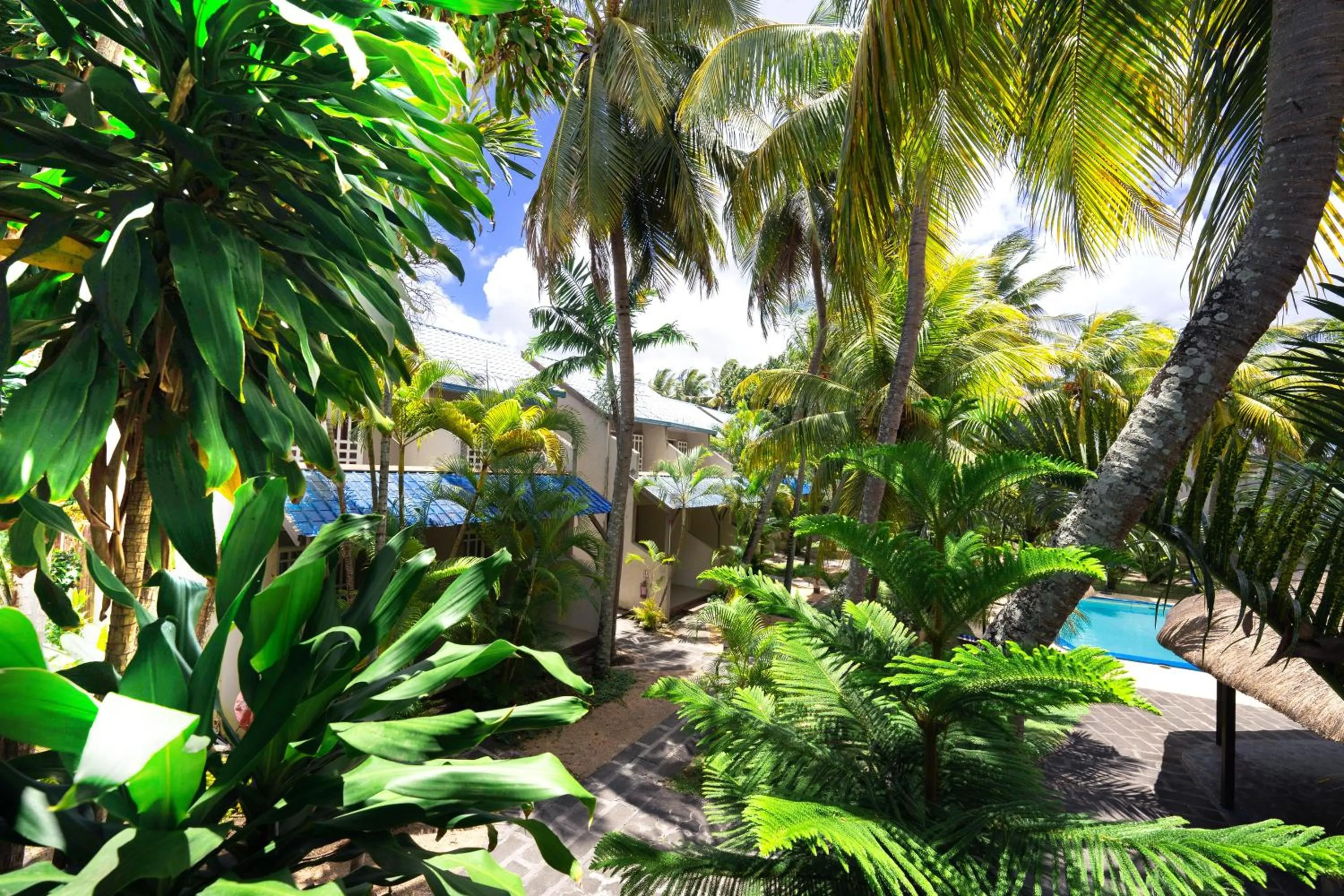 View (from property/room) in Le Grand Bleu Hotel