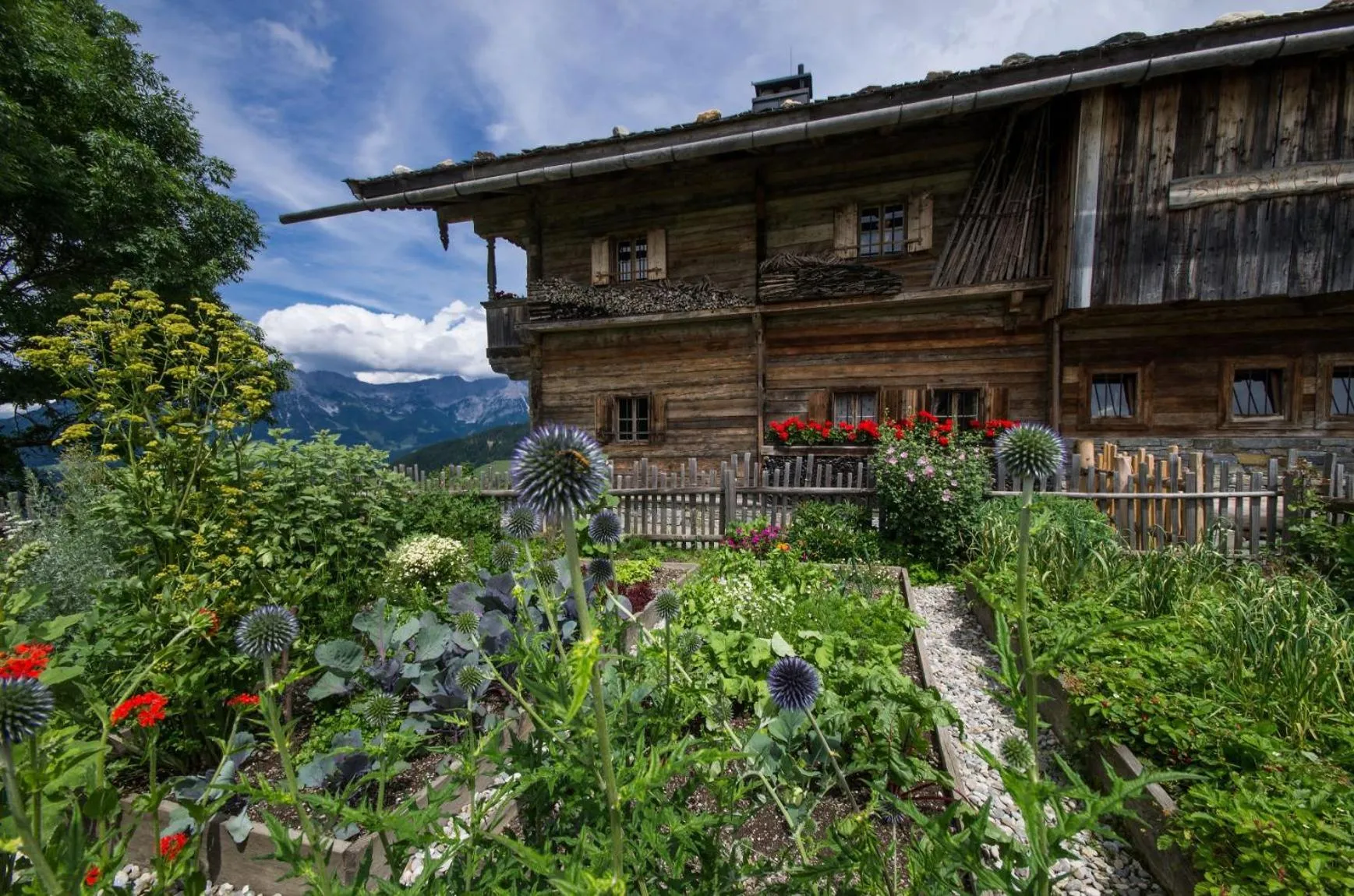Neighbourhood in Alpengasthof Hochsöll