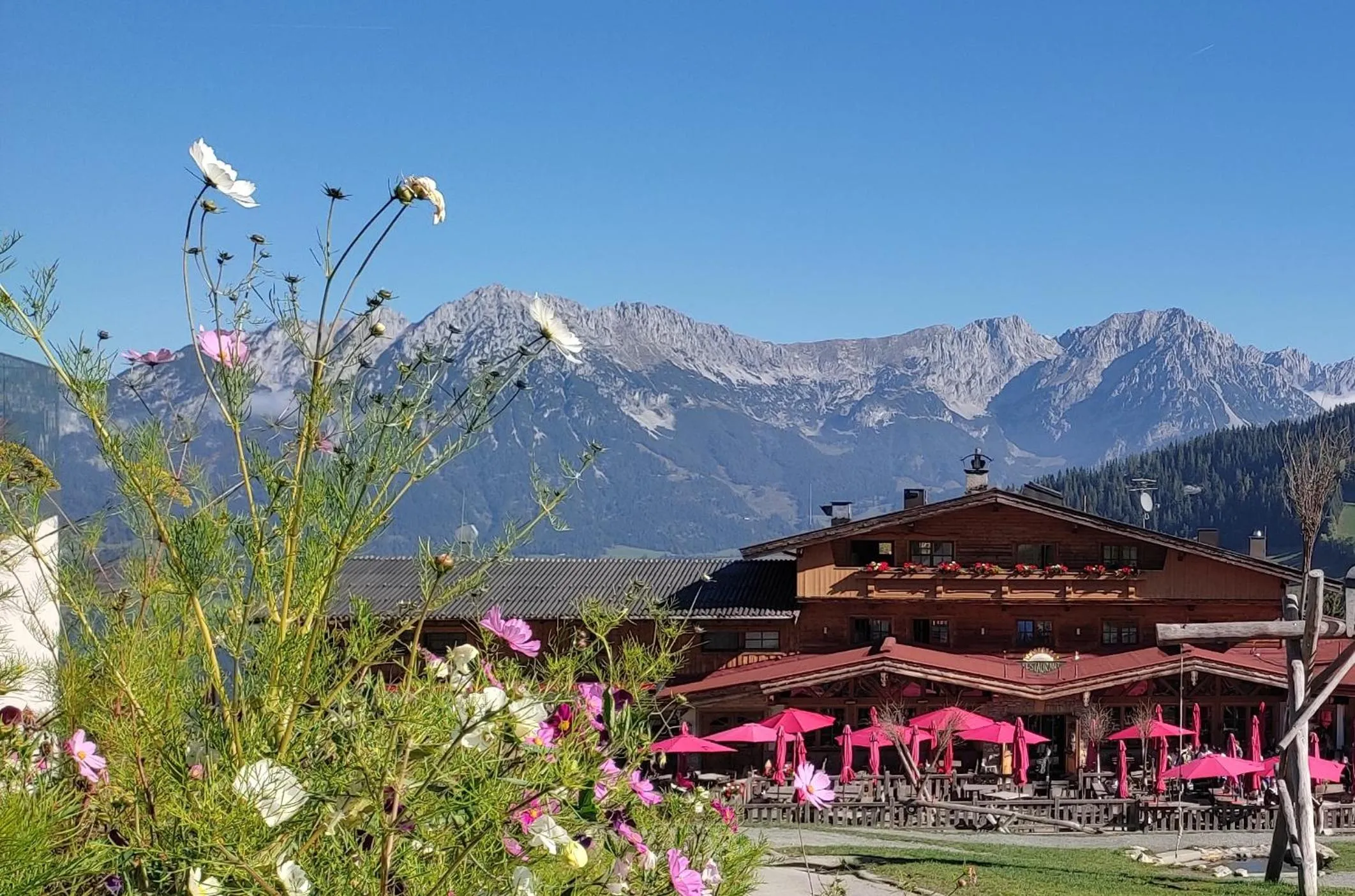 Restaurant/places to eat in Alpengasthof Hochsöll