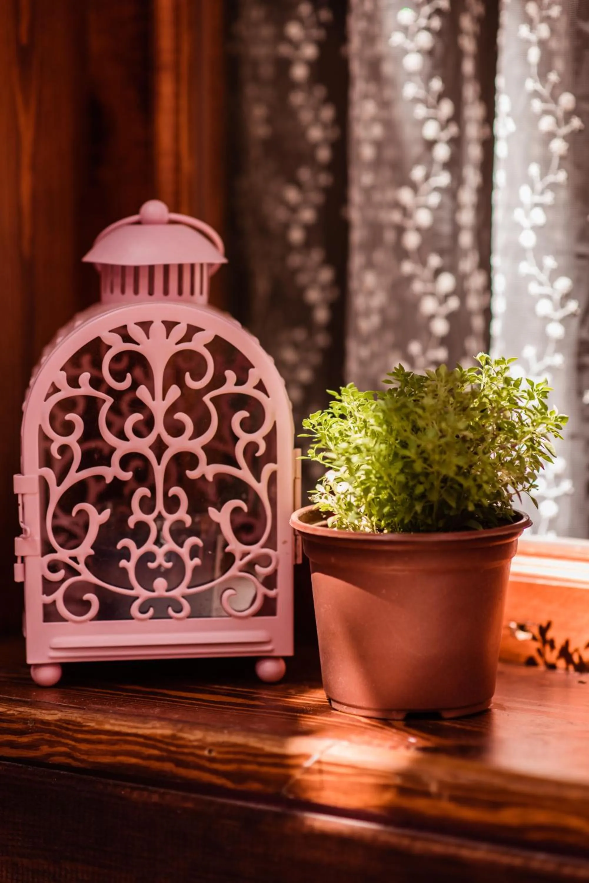 Garden in Lily Town Hotel