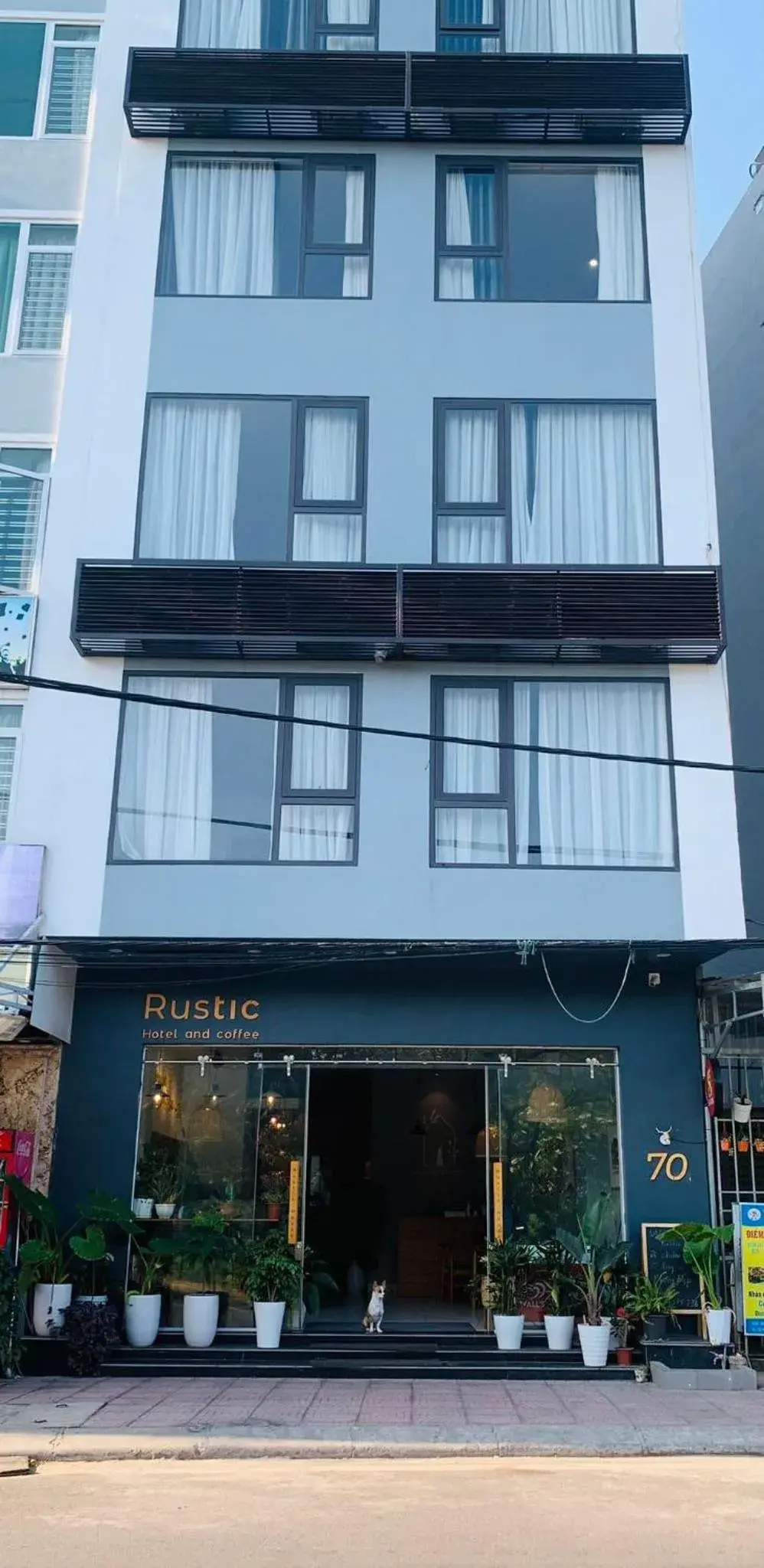 Property building in Rustic house Property building in Rustic house