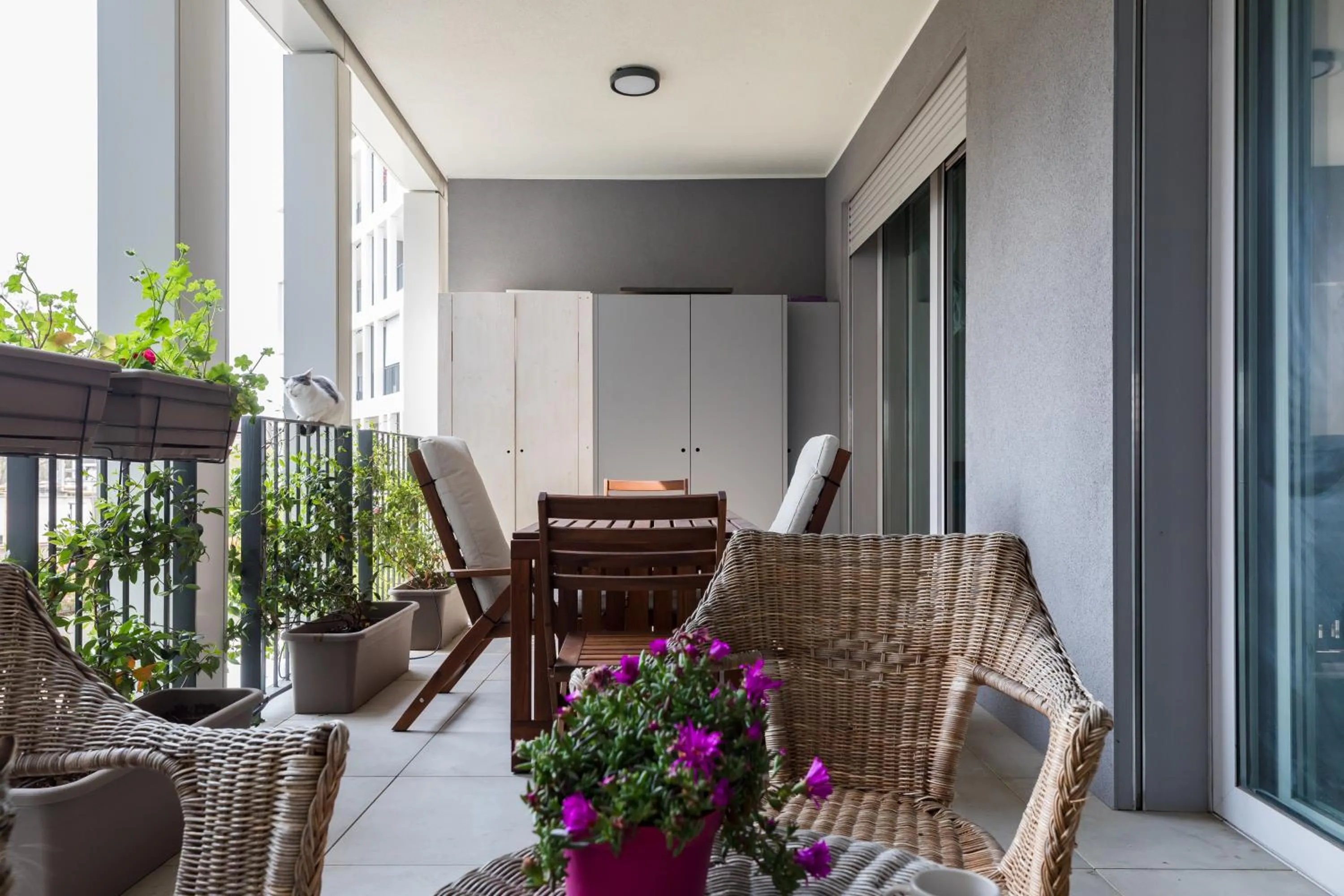 Patio in Porto Fluviale House