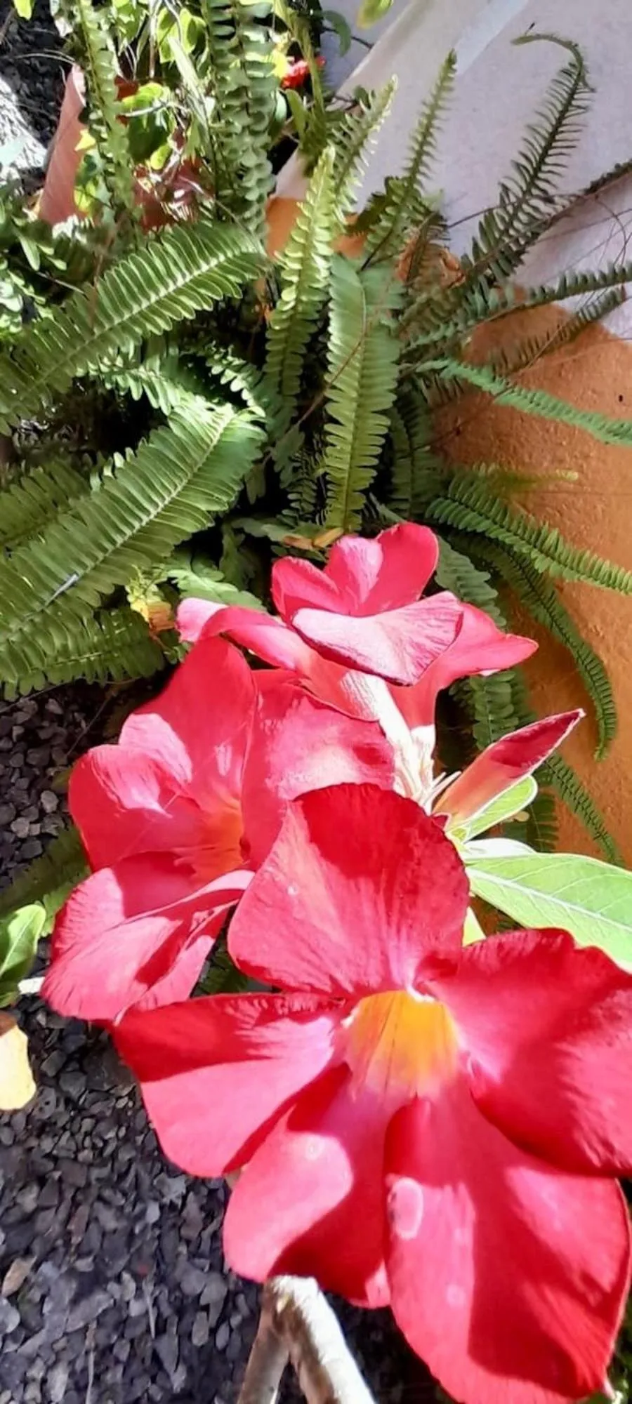 Property building in La Paloma Oceanfront Retreat