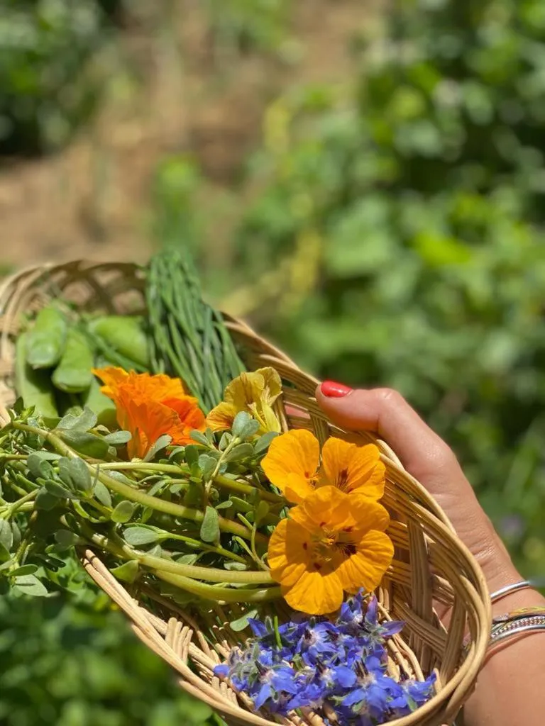 Restaurant/places to eat in Domaine de Séguéla