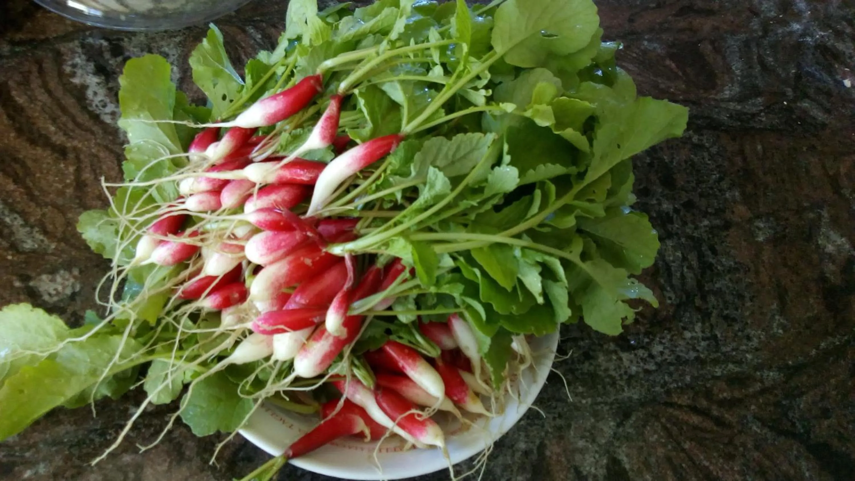 Restaurant/places to eat in Domaine de Séguéla