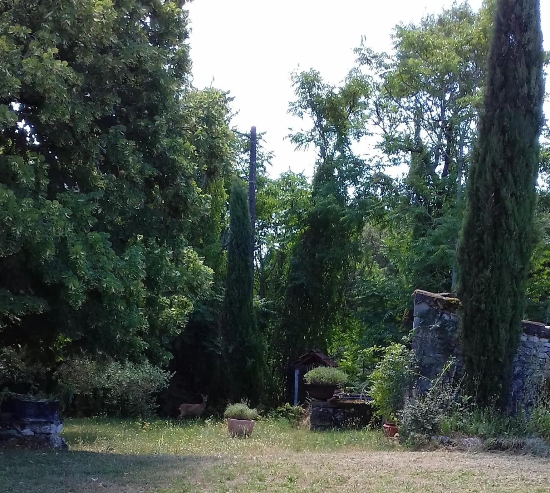 Natural landscape in Domaine de Séguéla