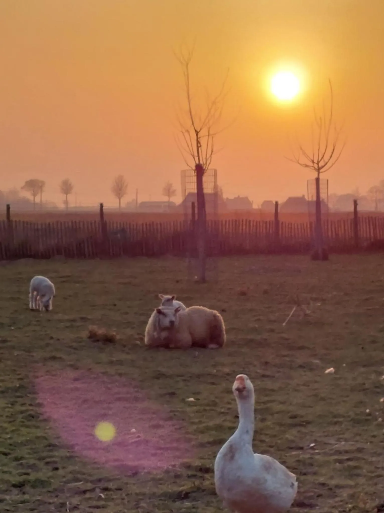 Natural landscape in B&B Clogher Farm