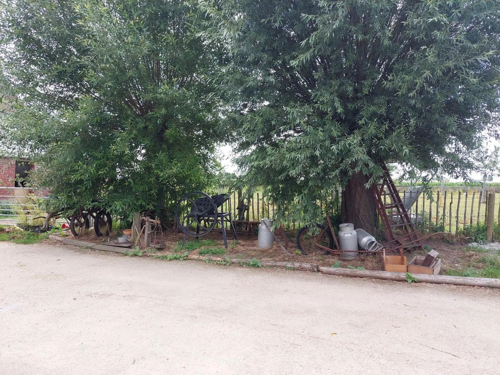Garden in B&B Clogher Farm