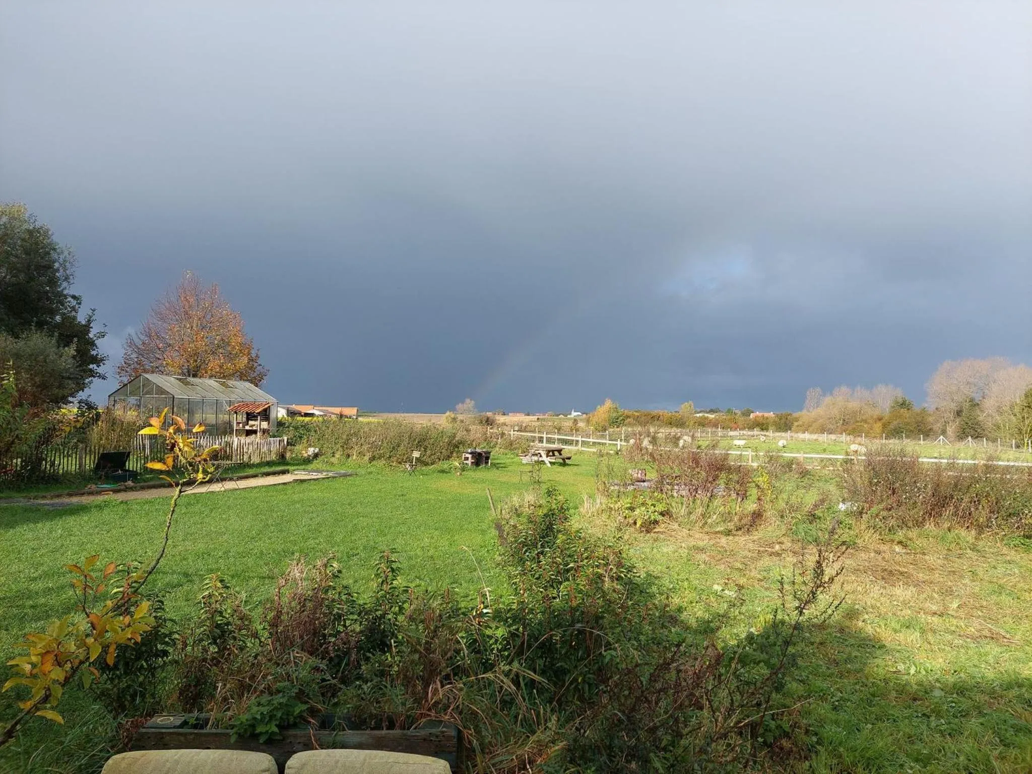 Garden in B&B Clogher Farm