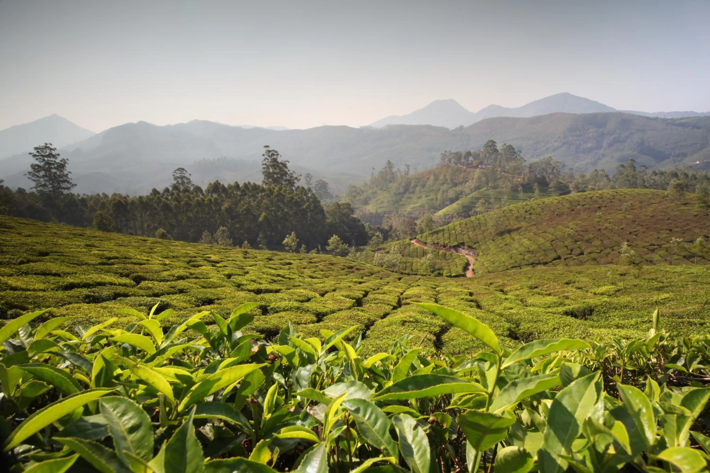 Day in UTMT - Underneath The Mango Tree Spa & Beach Resort