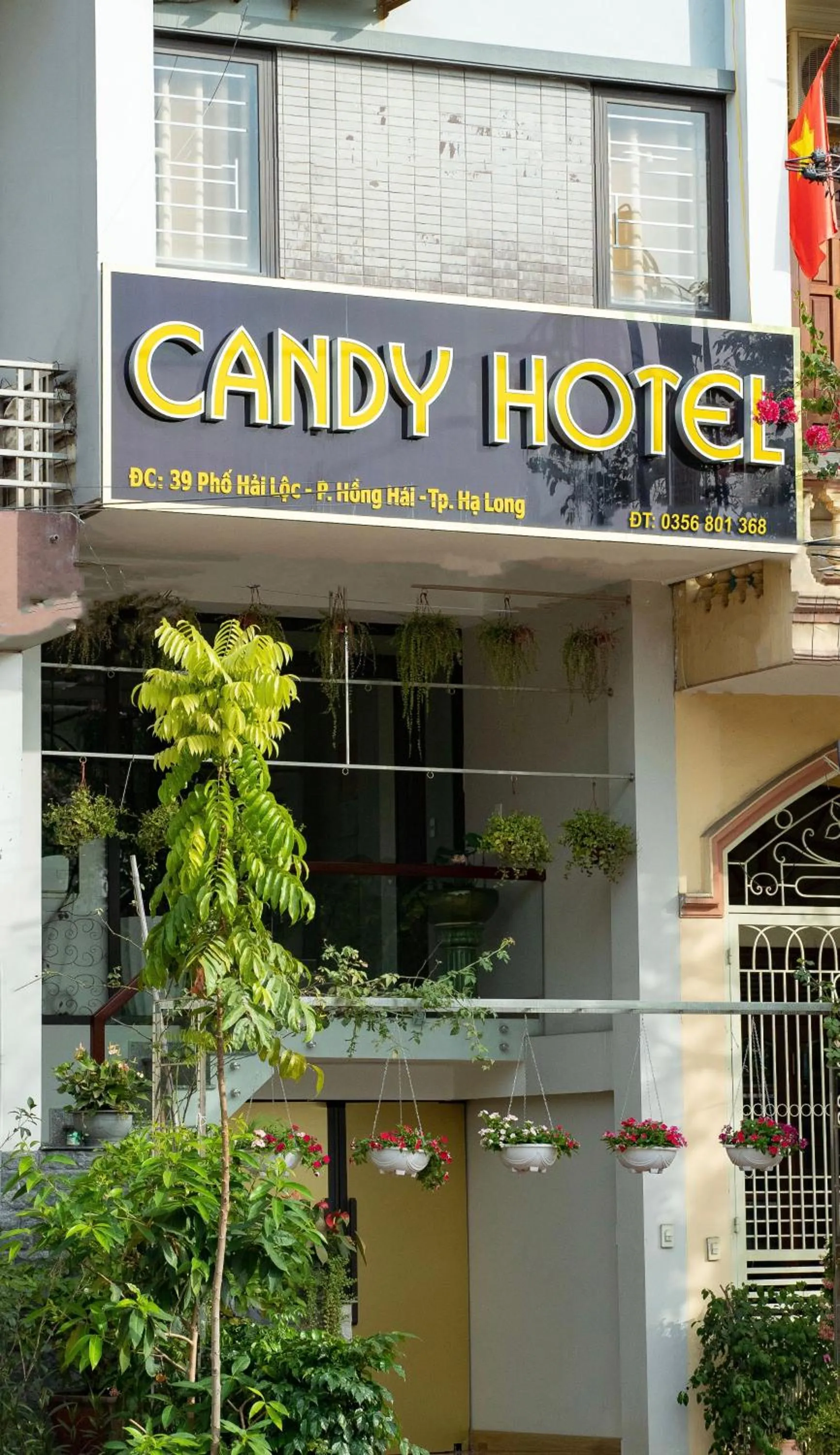 Facade/entrance in Candy Hotel Hạ Long