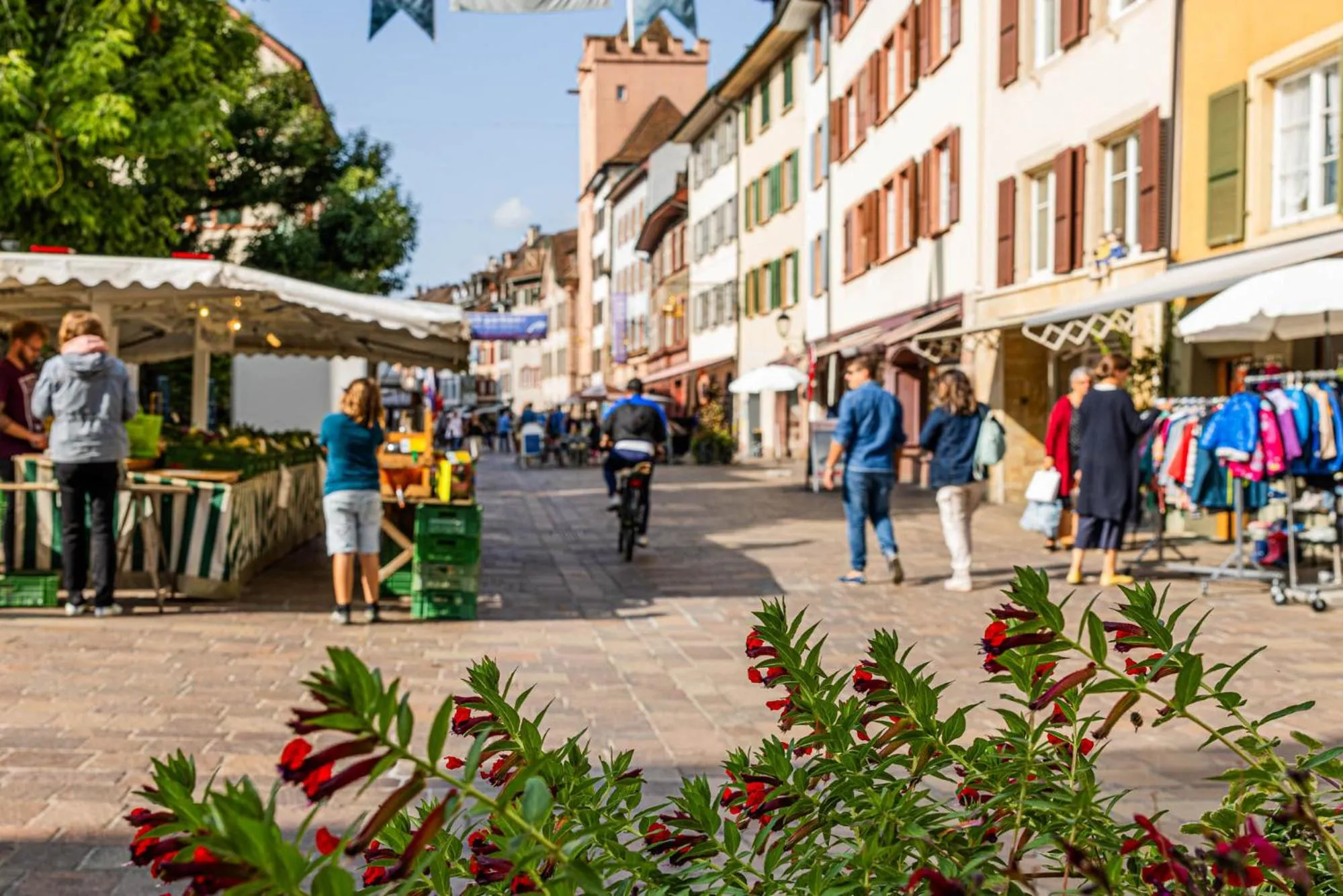 Nearby landmark in Hotel Schiff am Rhein