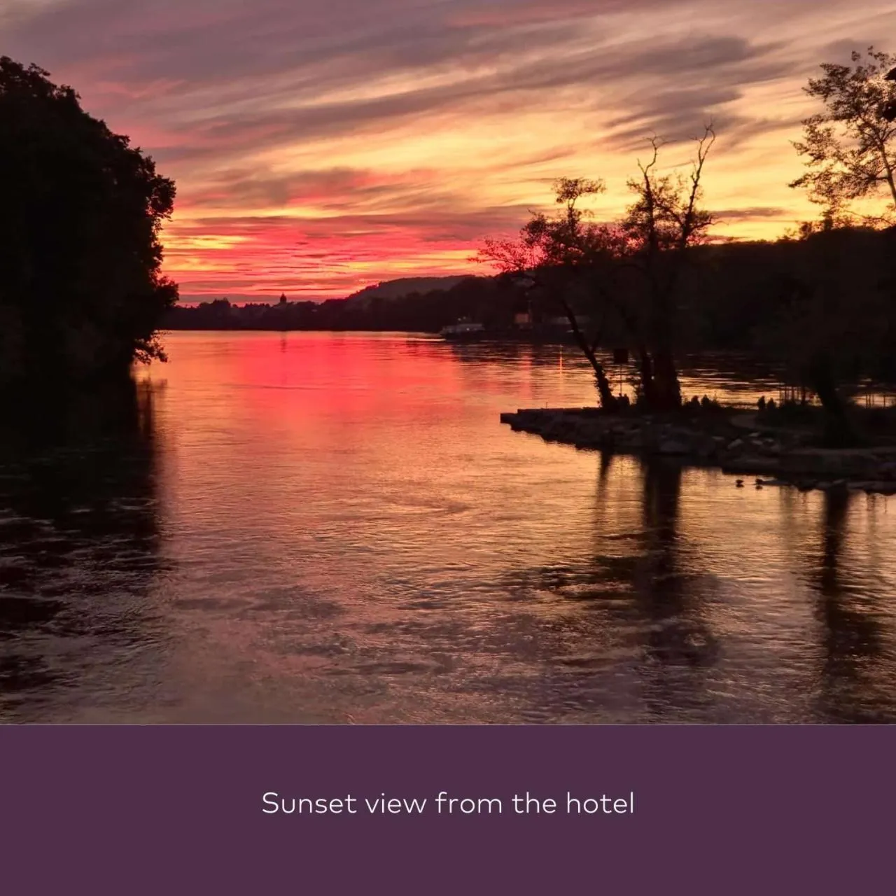 View (from property/room) in Hotel Schiff am Rhein