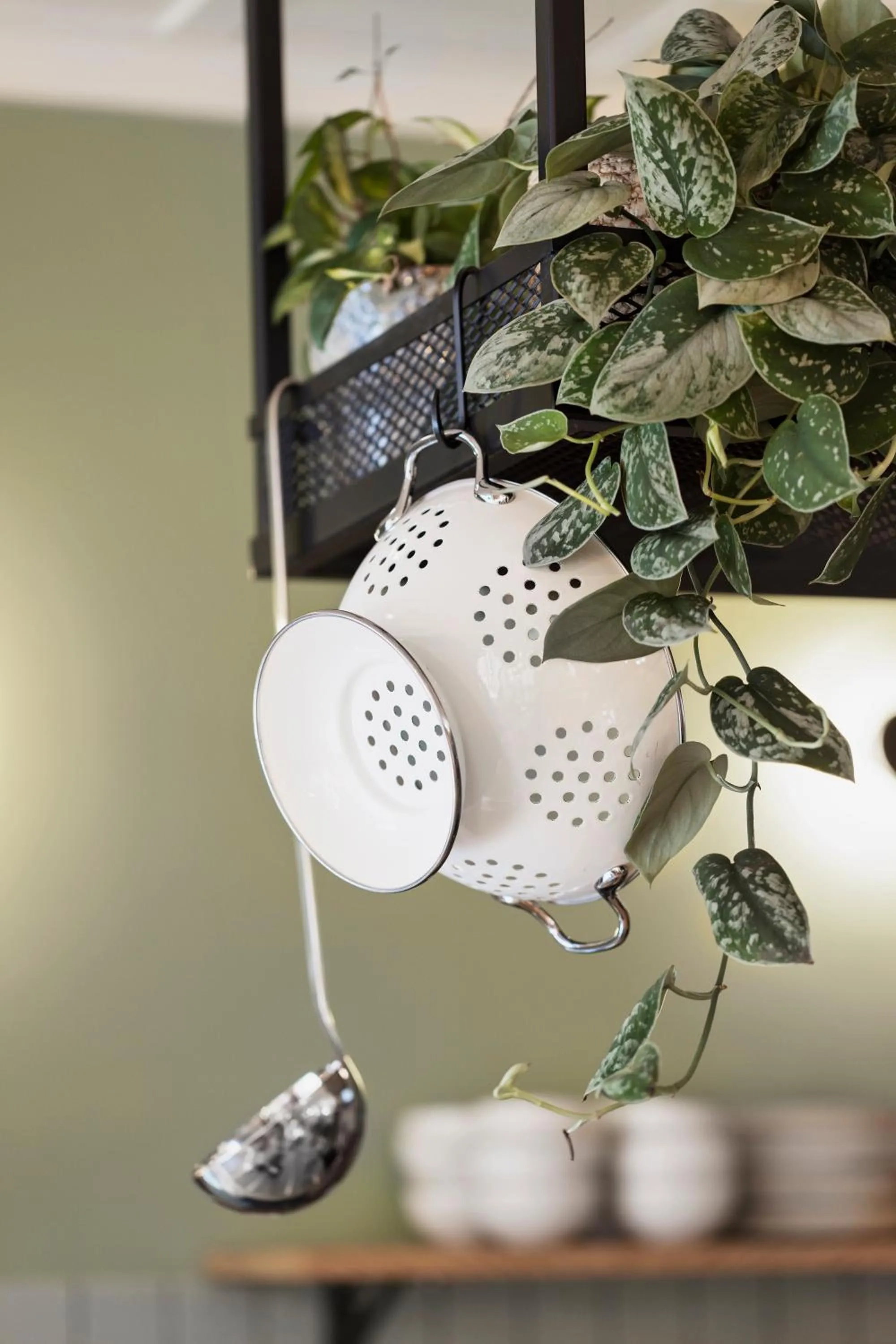 Communal kitchen in Stay KooooK Bern City - Online Check In